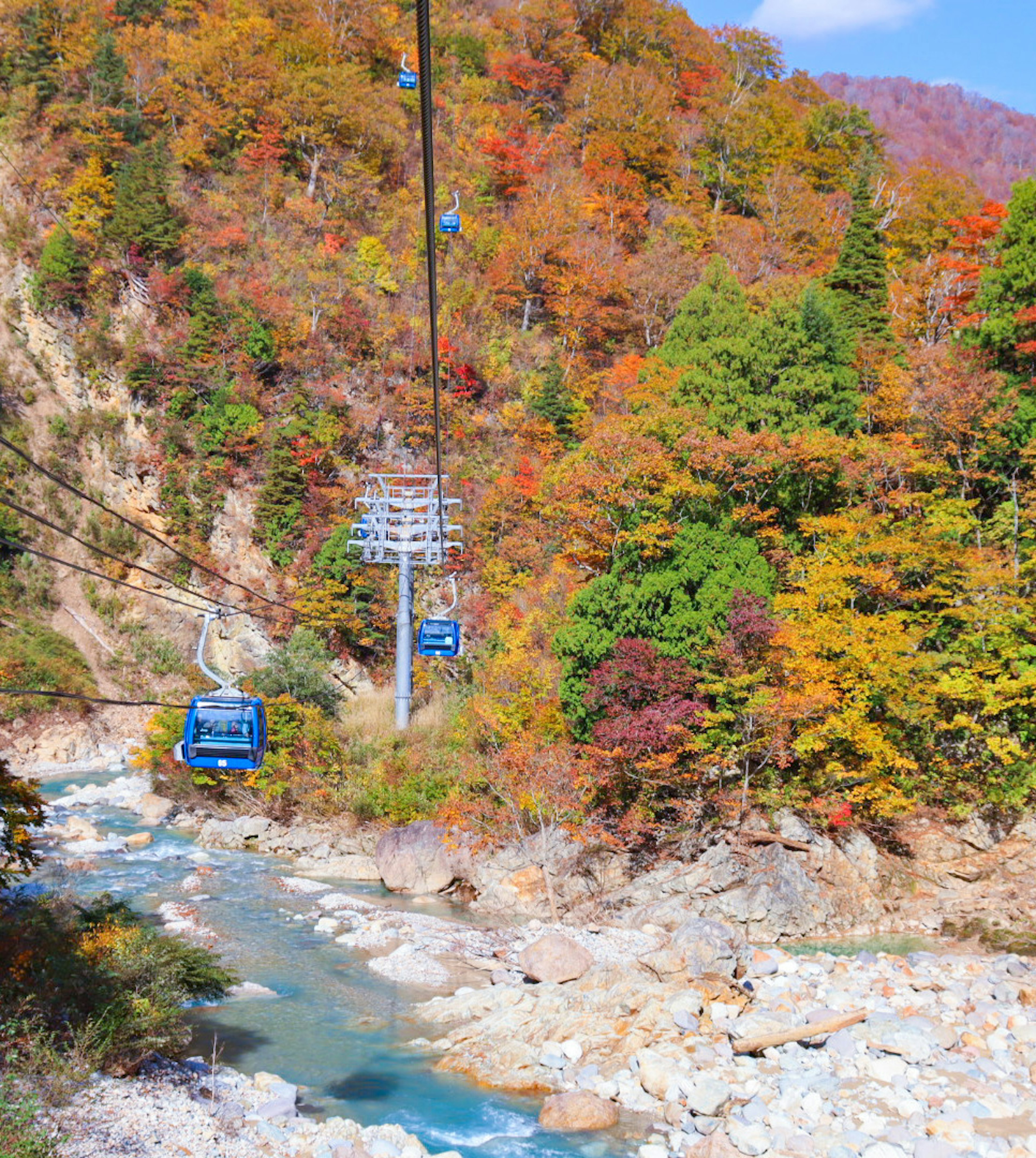 Eine Seilbahn, die über einen Fluss und Herbstlaub fährt