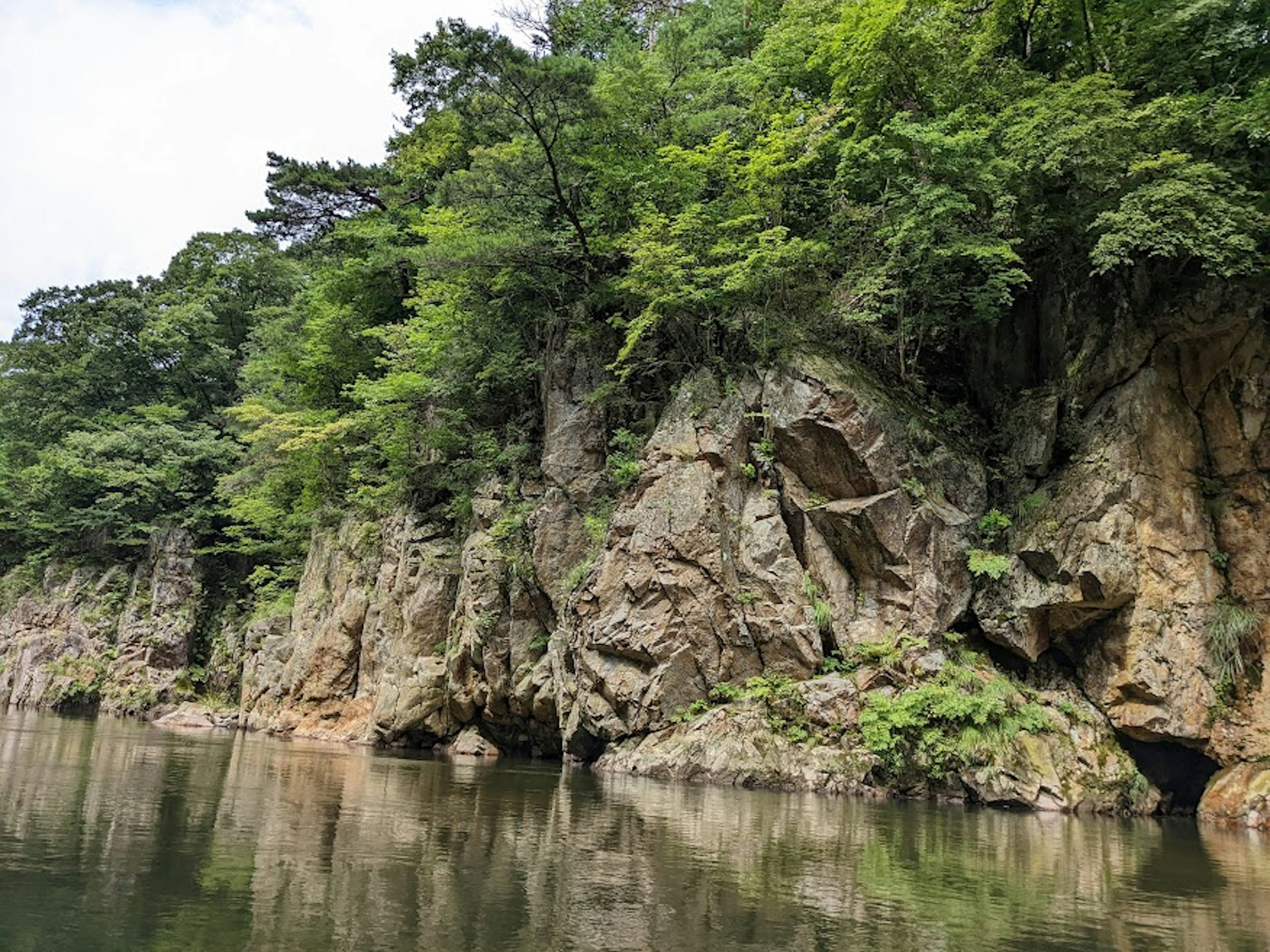 Lush green cliffs and trees reflected on calm water