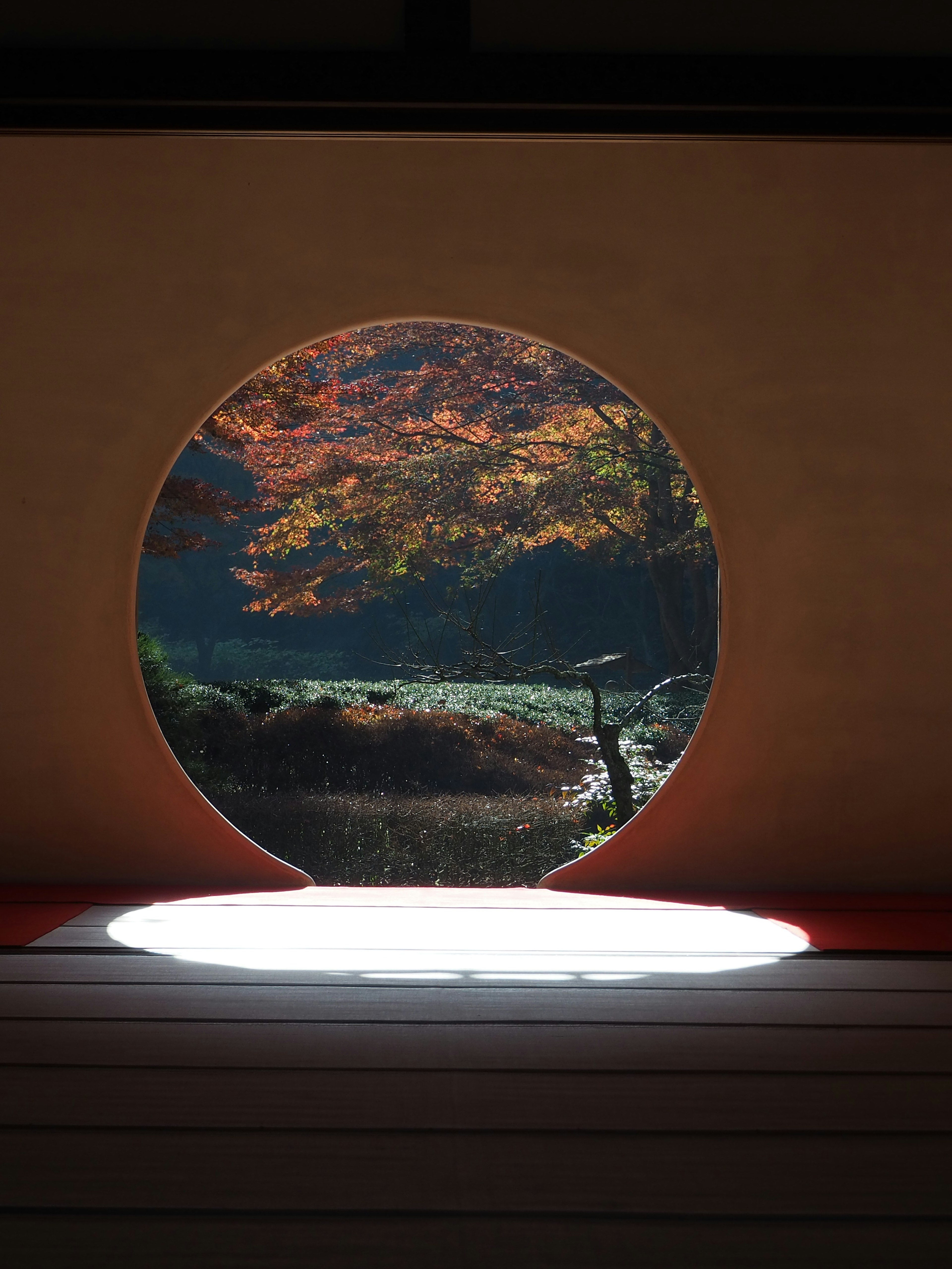 Circular window framing a vibrant autumn scene with soft light