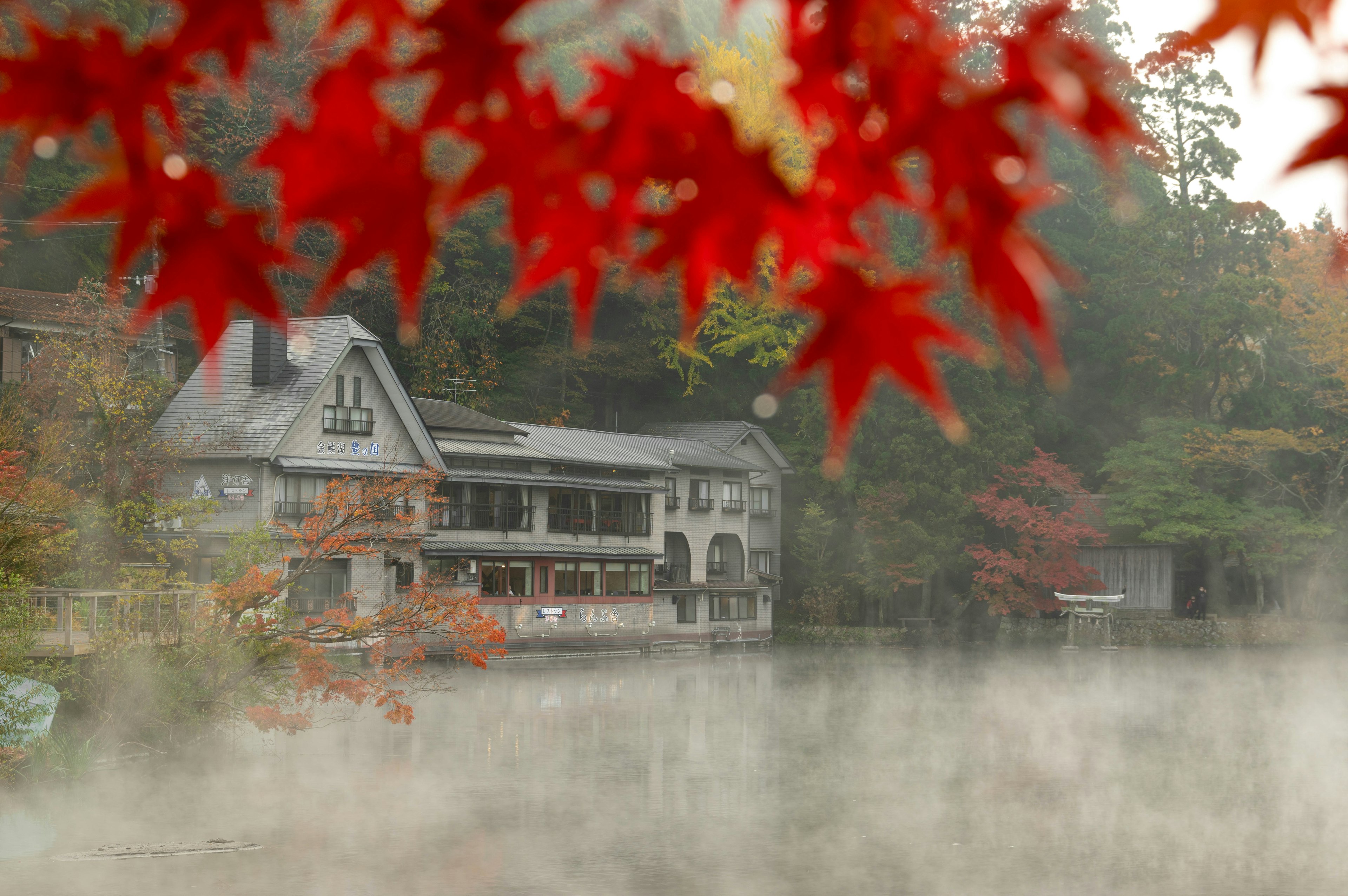 Lake house surrounded by autumn leaves in fog