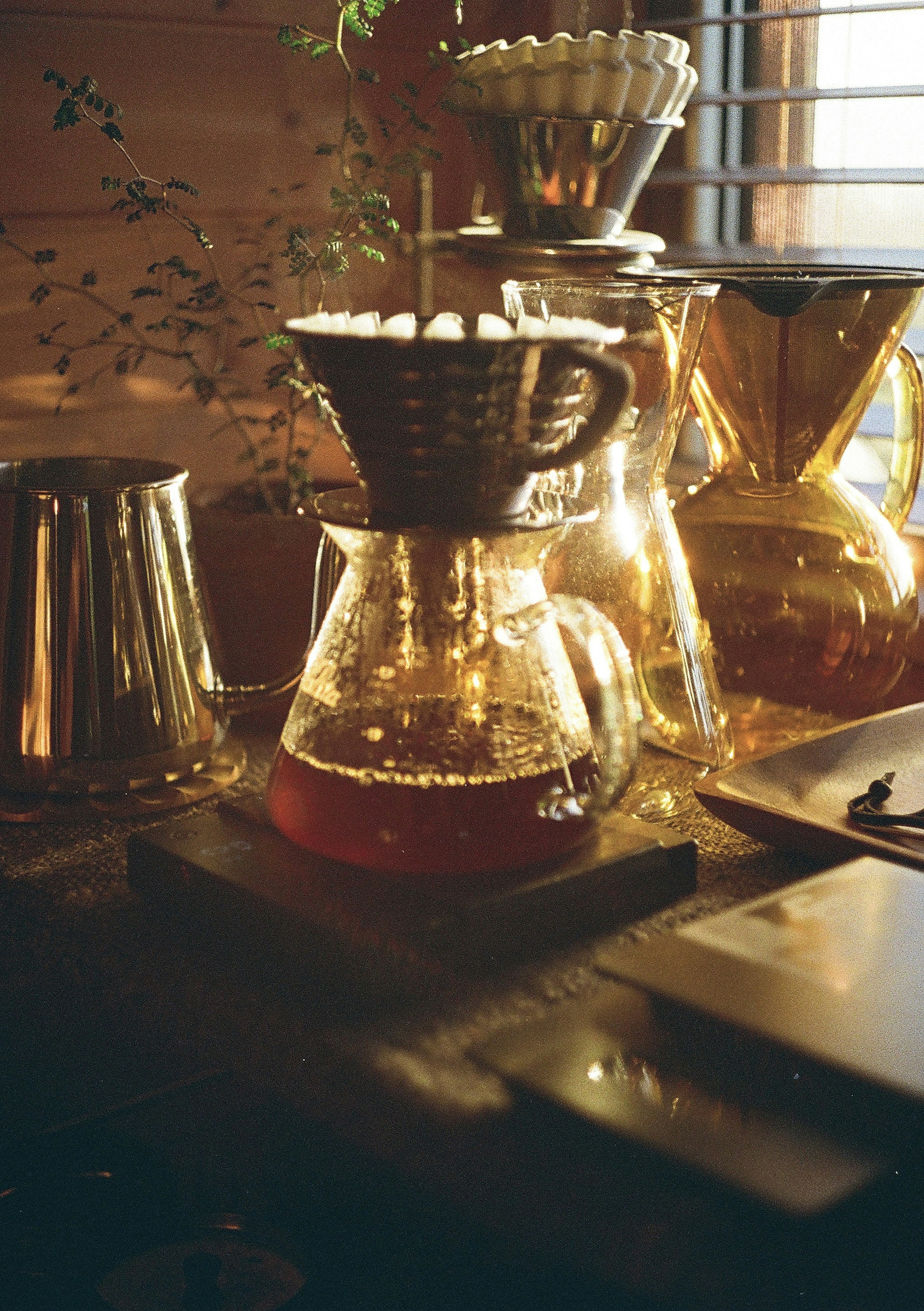 A beautiful scene with coffee brewing equipment arranged elegantly