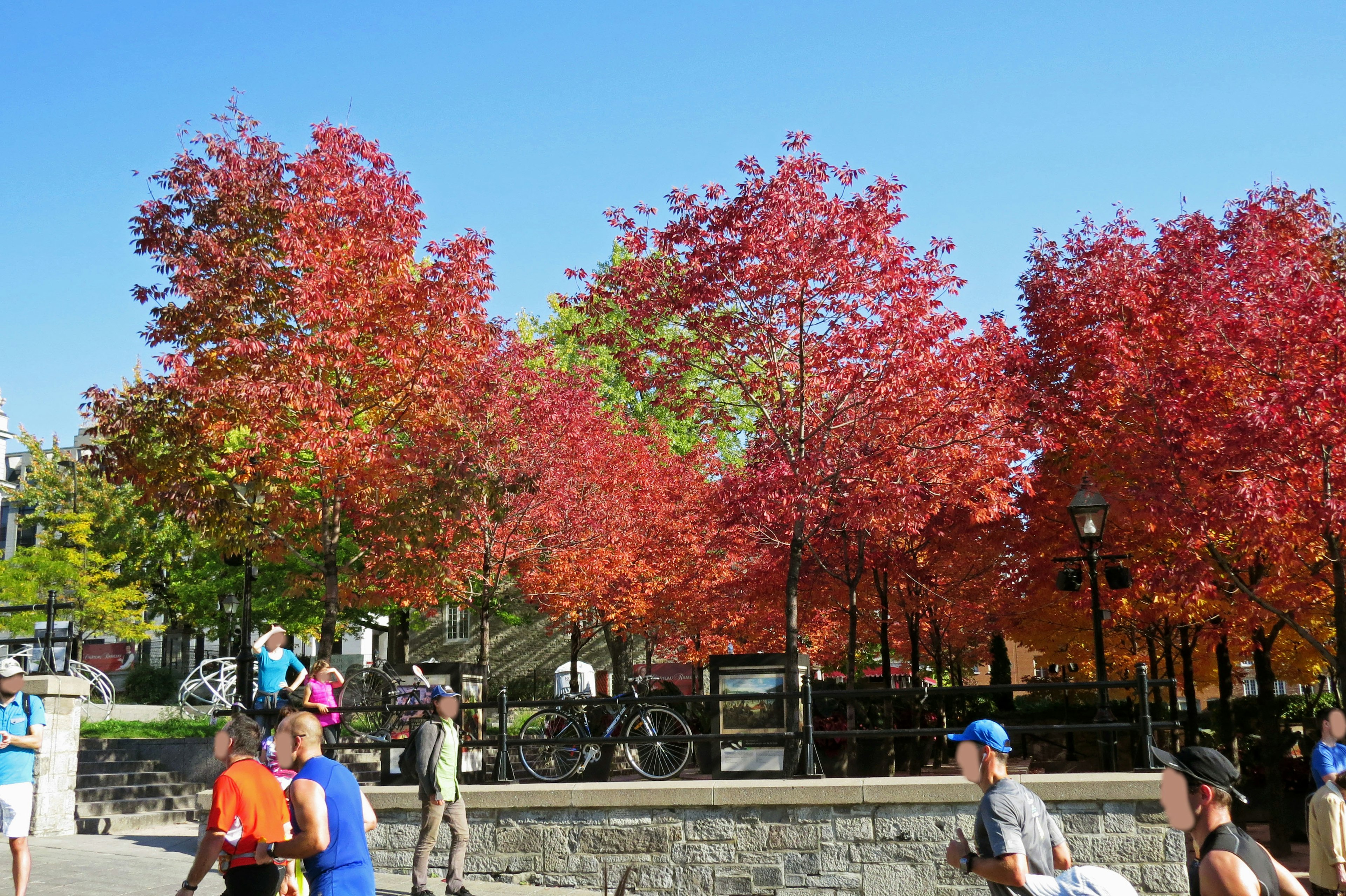 Colorful autumn trees in a park with people walking