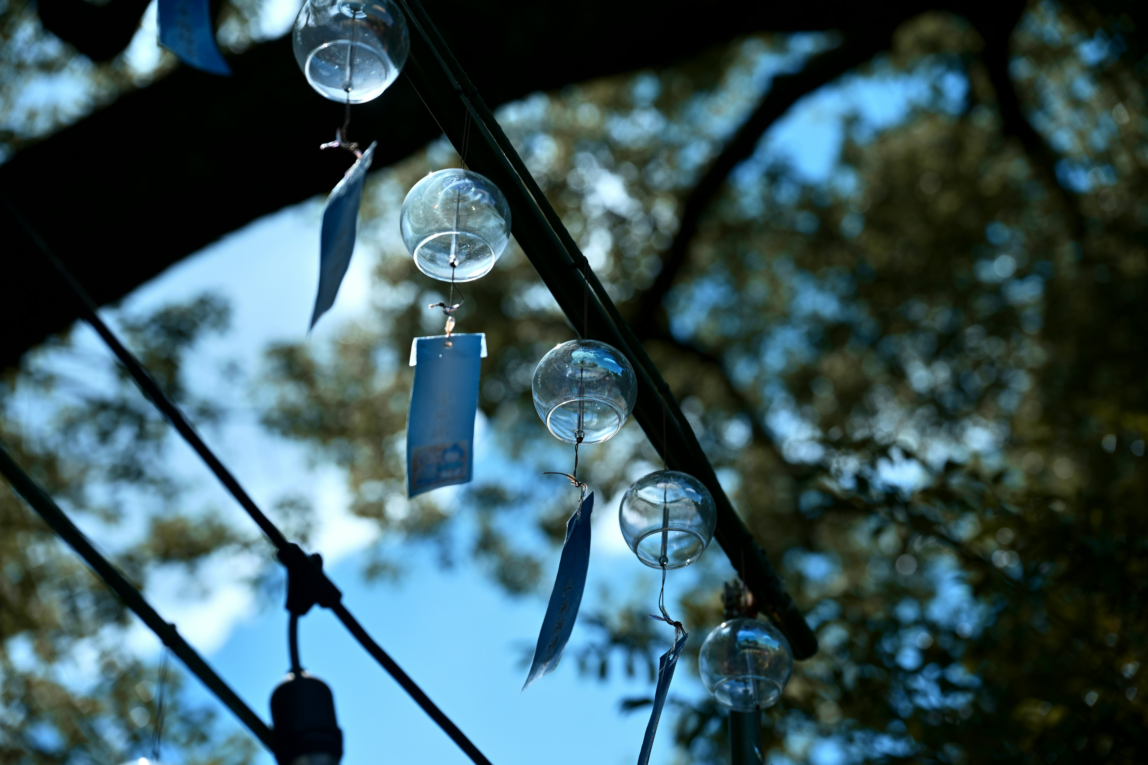 Fila di campane a vento trasparenti contro un cielo blu e rami d'albero