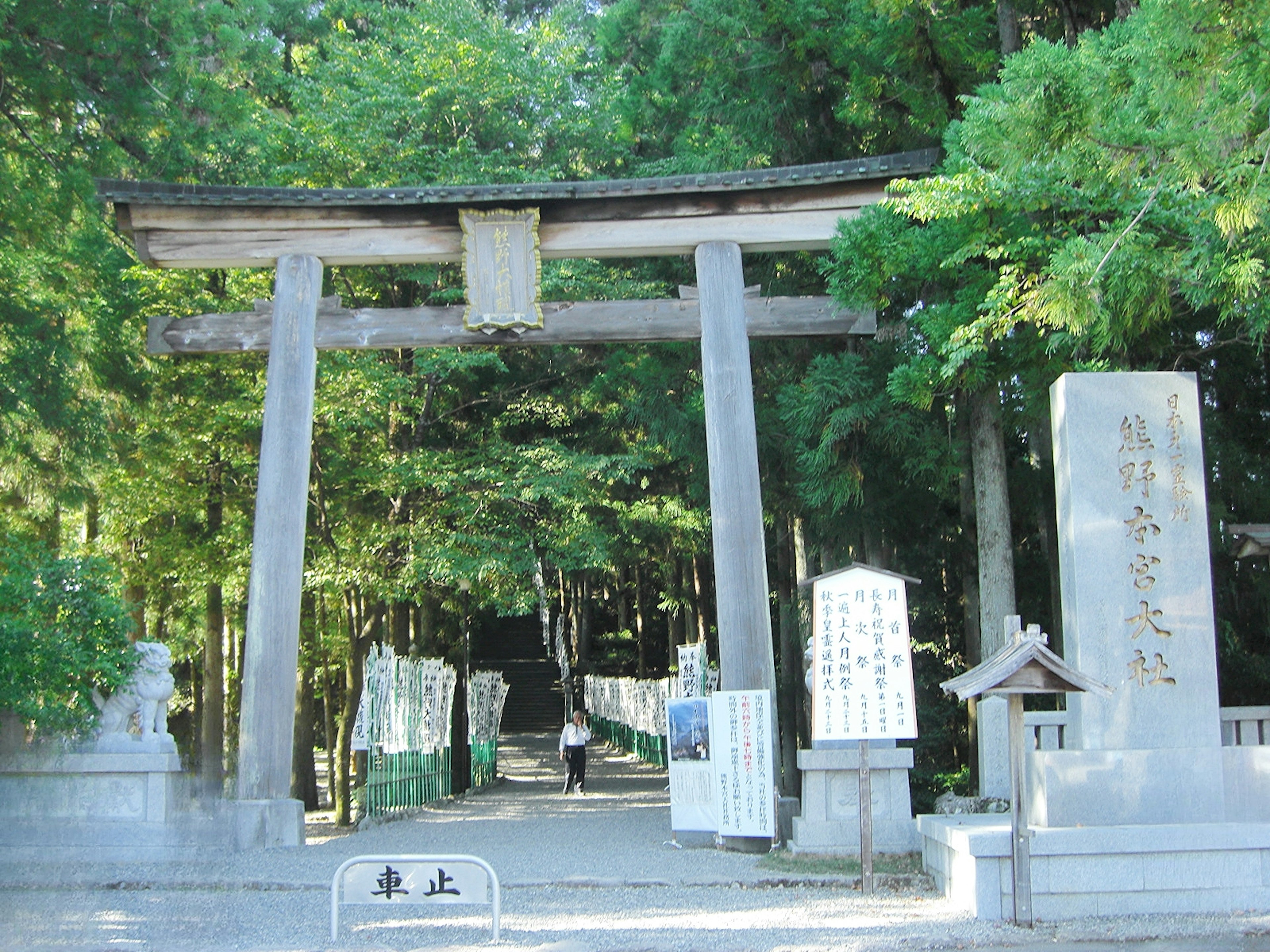 Masuk ke kuil dengan gerbang torii dan monumen batu dikelilingi oleh pepohonan hijau lebat