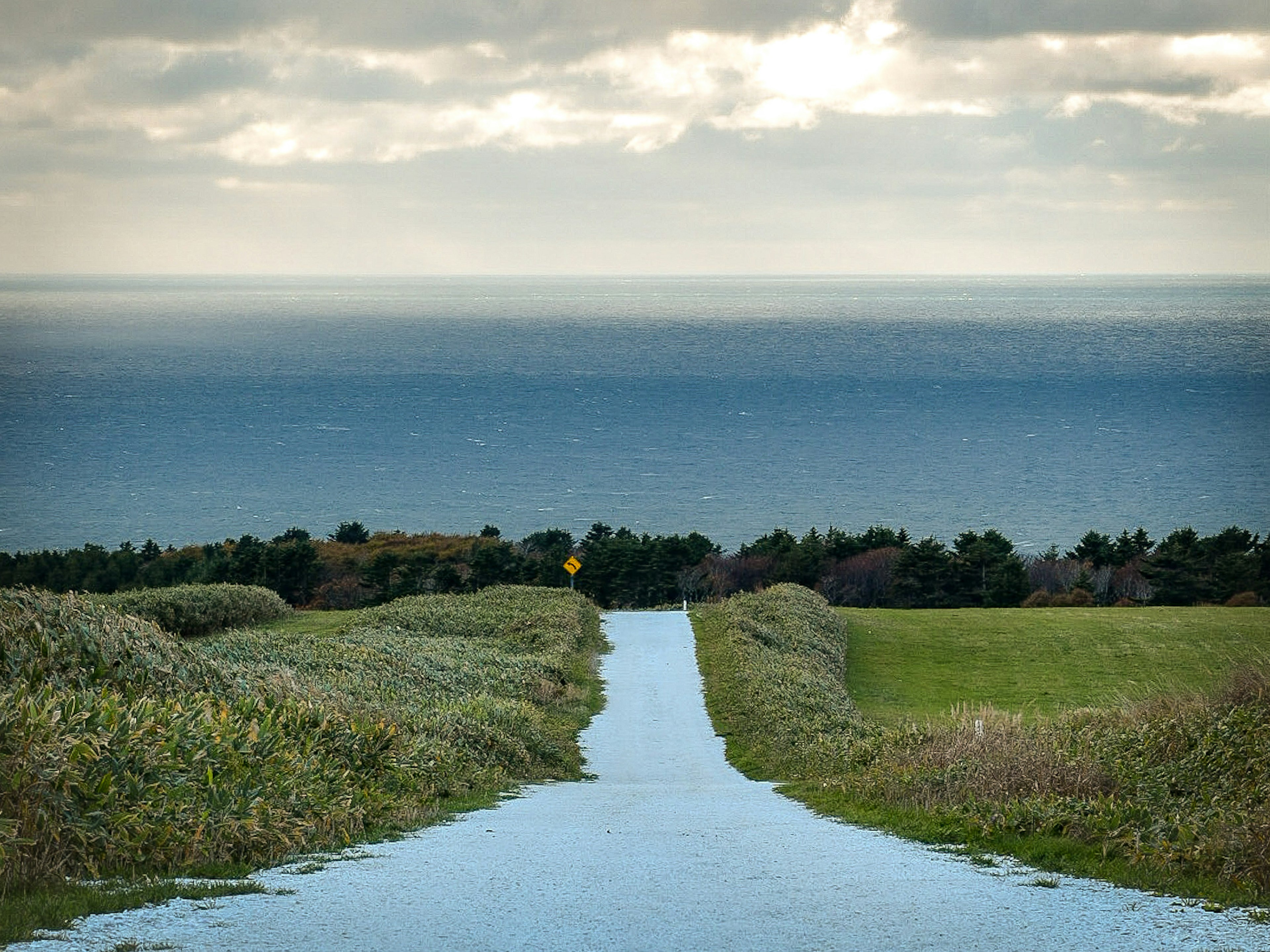 Una strada che porta al mare sotto un cielo nuvoloso