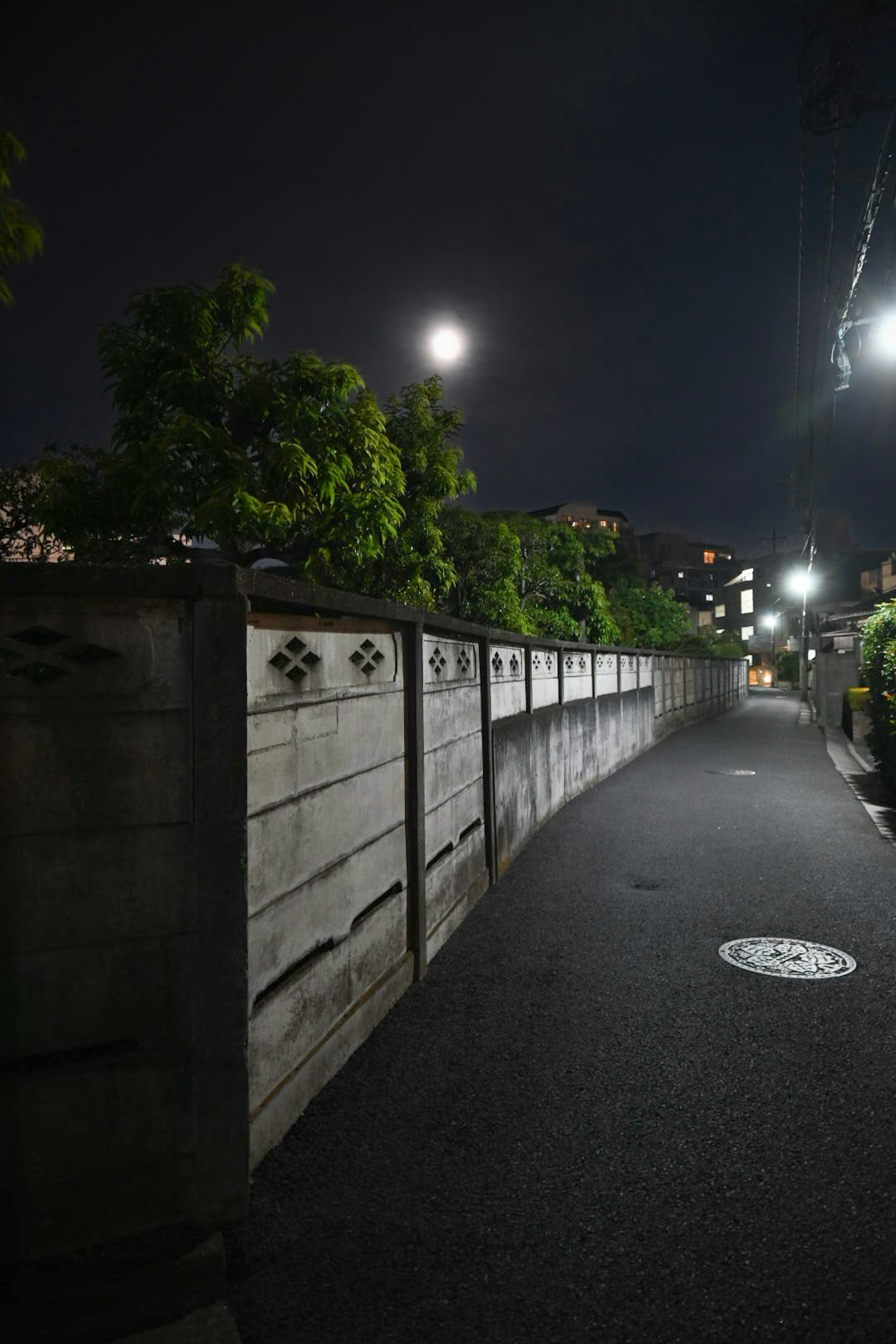 Strada notturna tranquilla con un muro di cemento e vegetazione