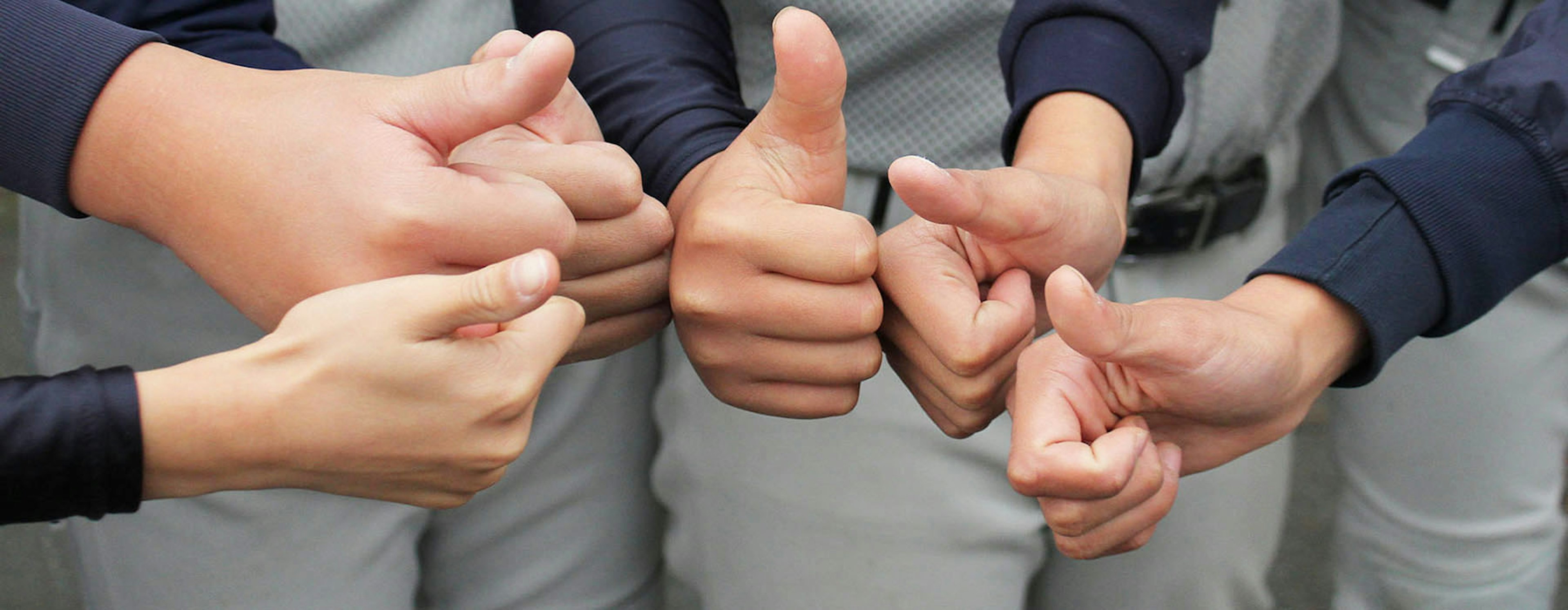 A group of hands showing thumbs up and fist gestures