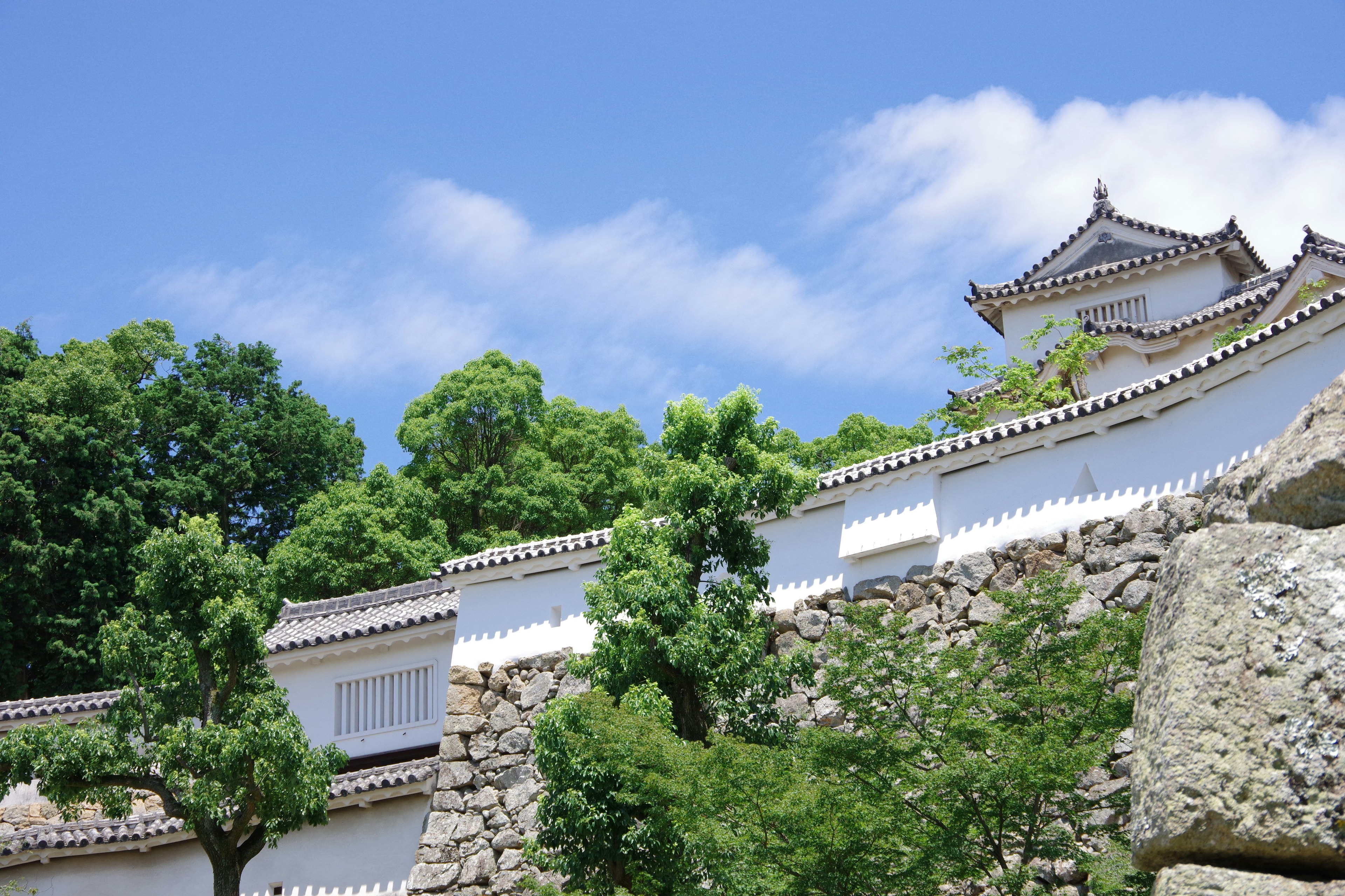 A landscape featuring white castle walls and green trees under a blue sky