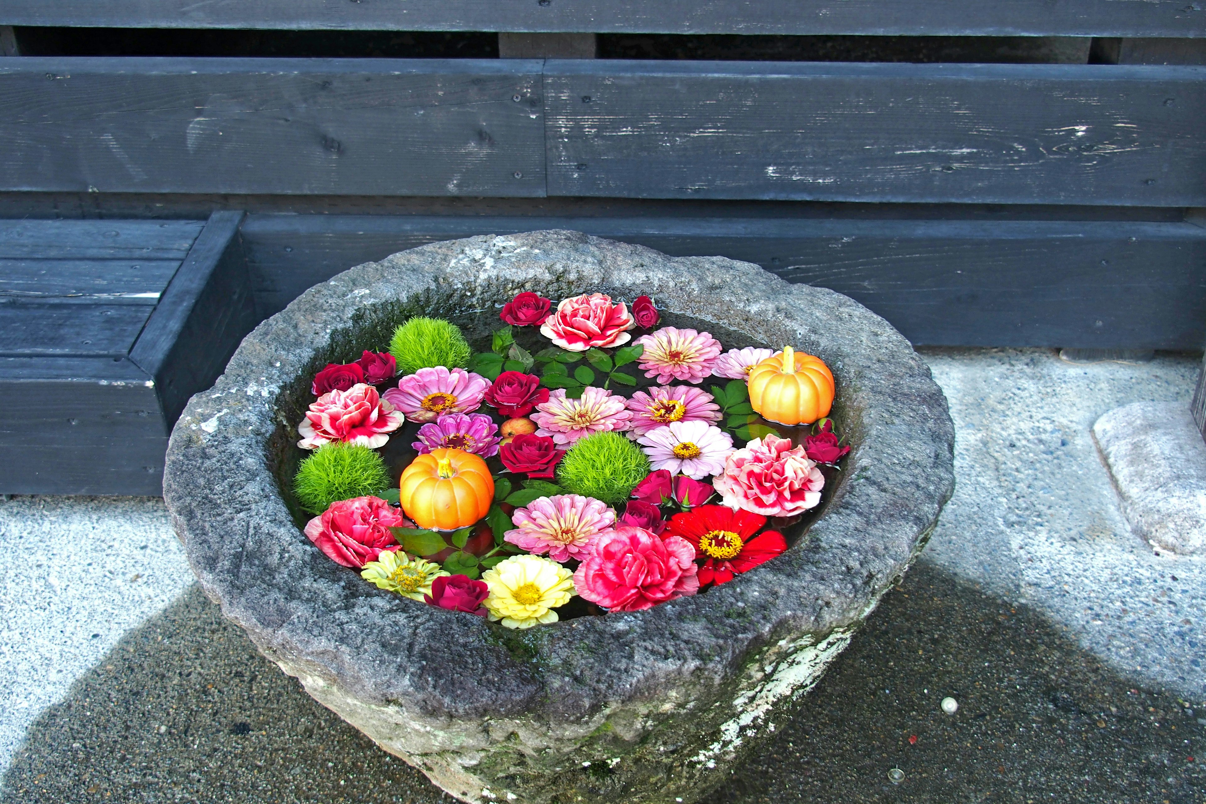 A stone basin filled with colorful flowers and small pumpkins