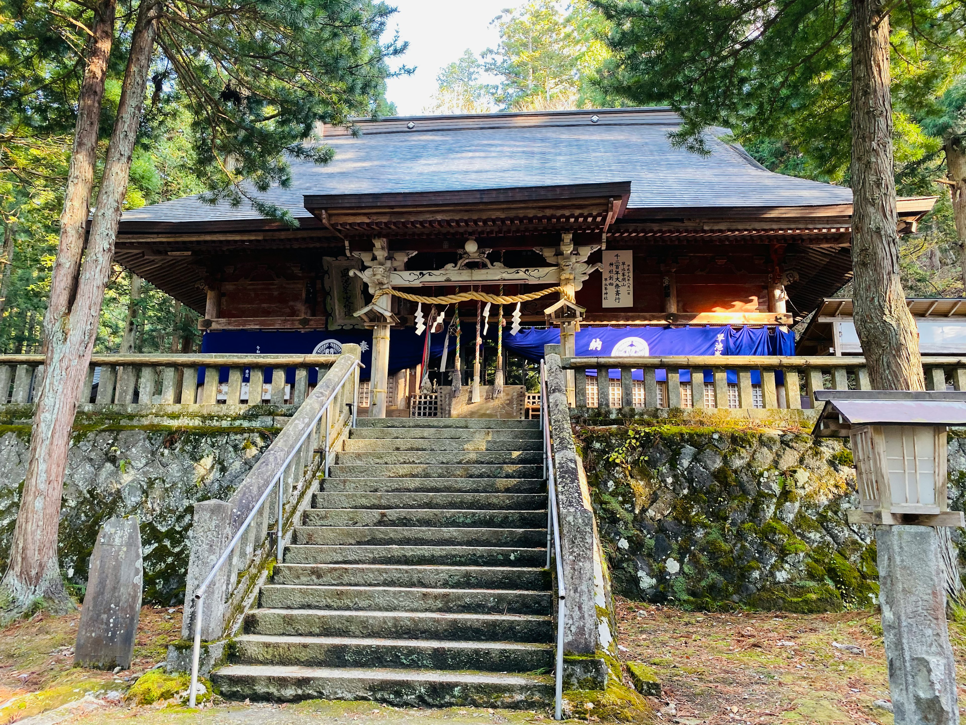 石段を上がった先にある神社の木造の建物と周囲の森林