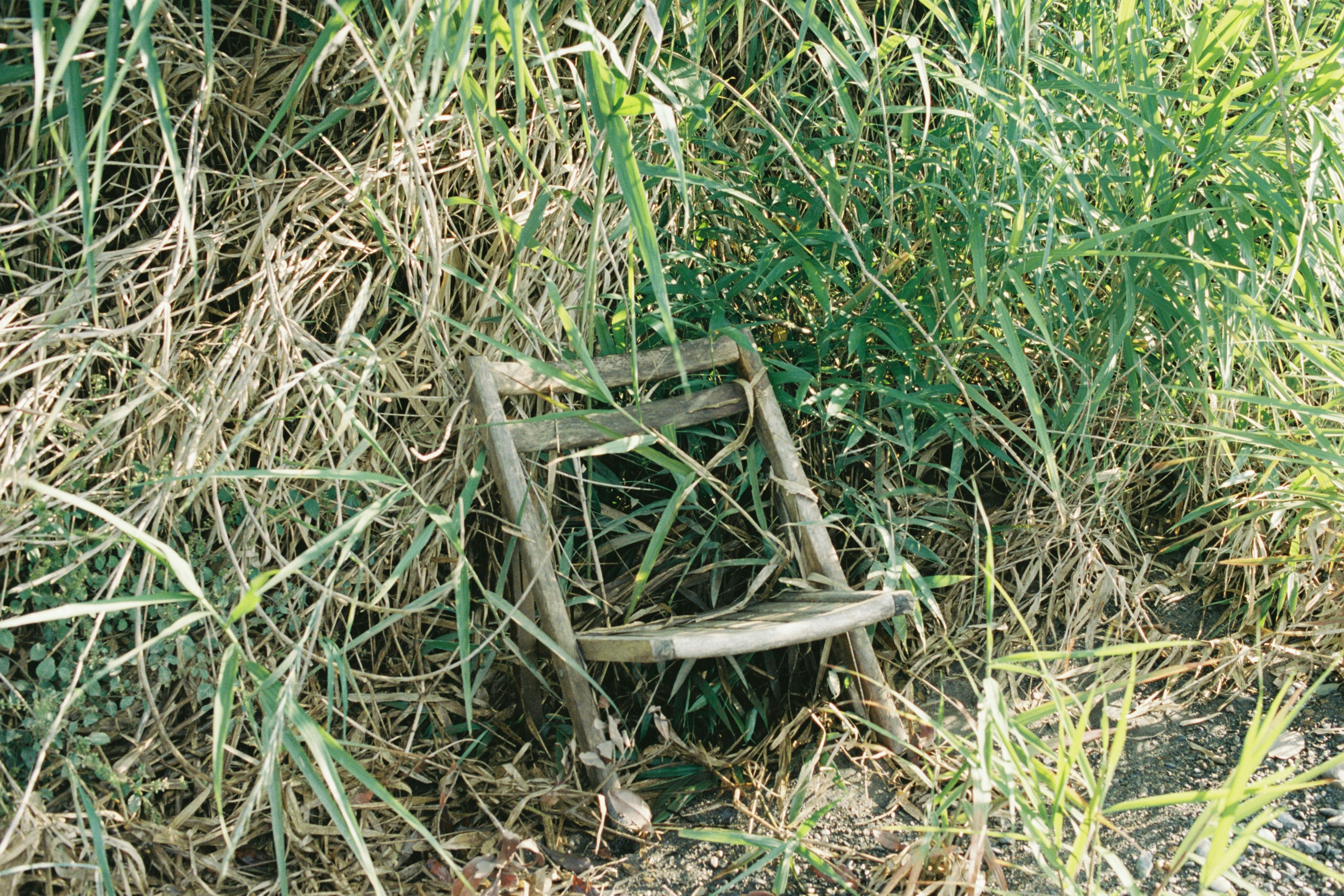 Una silla de madera vieja rodeada de hierba y vegetación