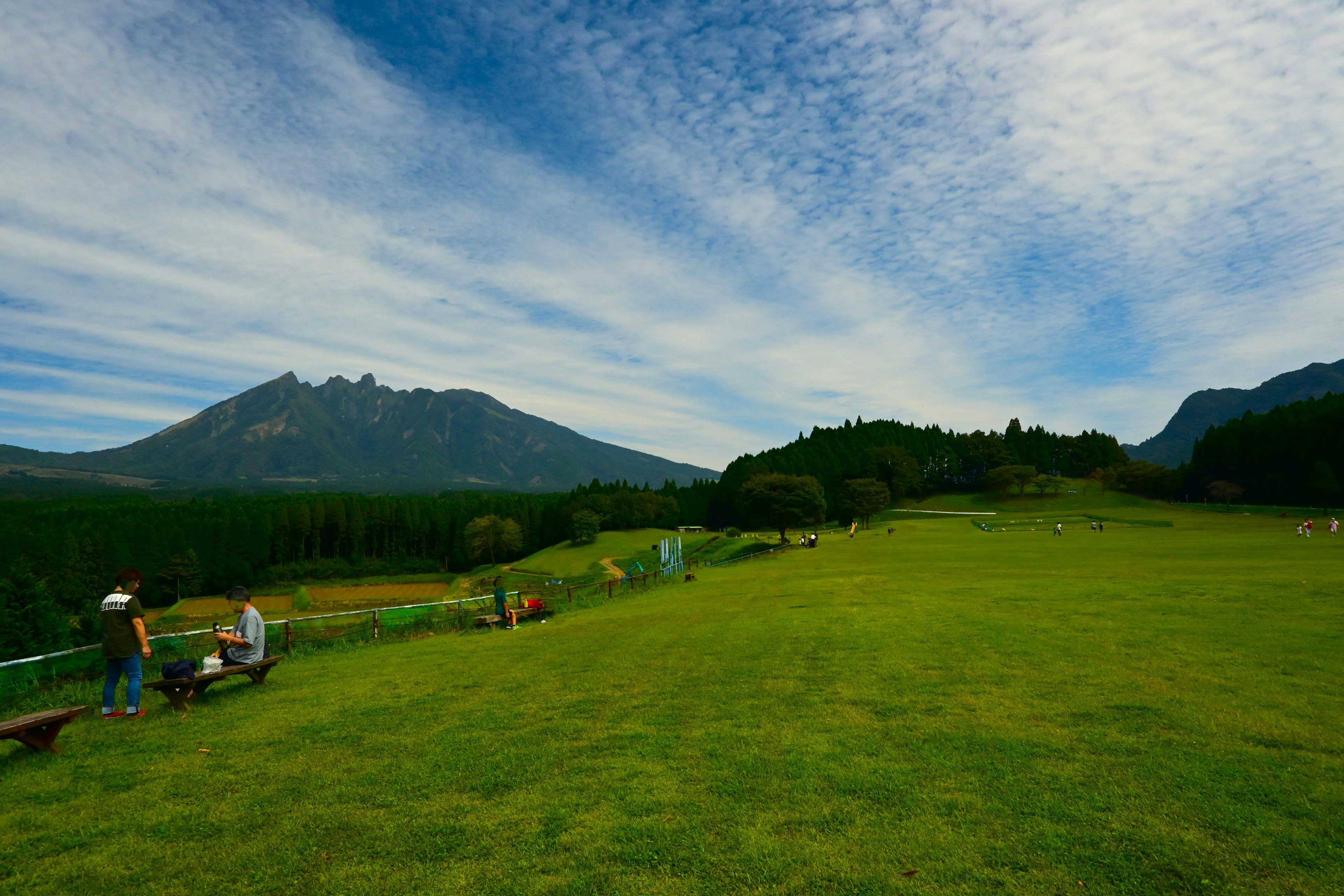 広い緑の草原と高い山々が見える風景