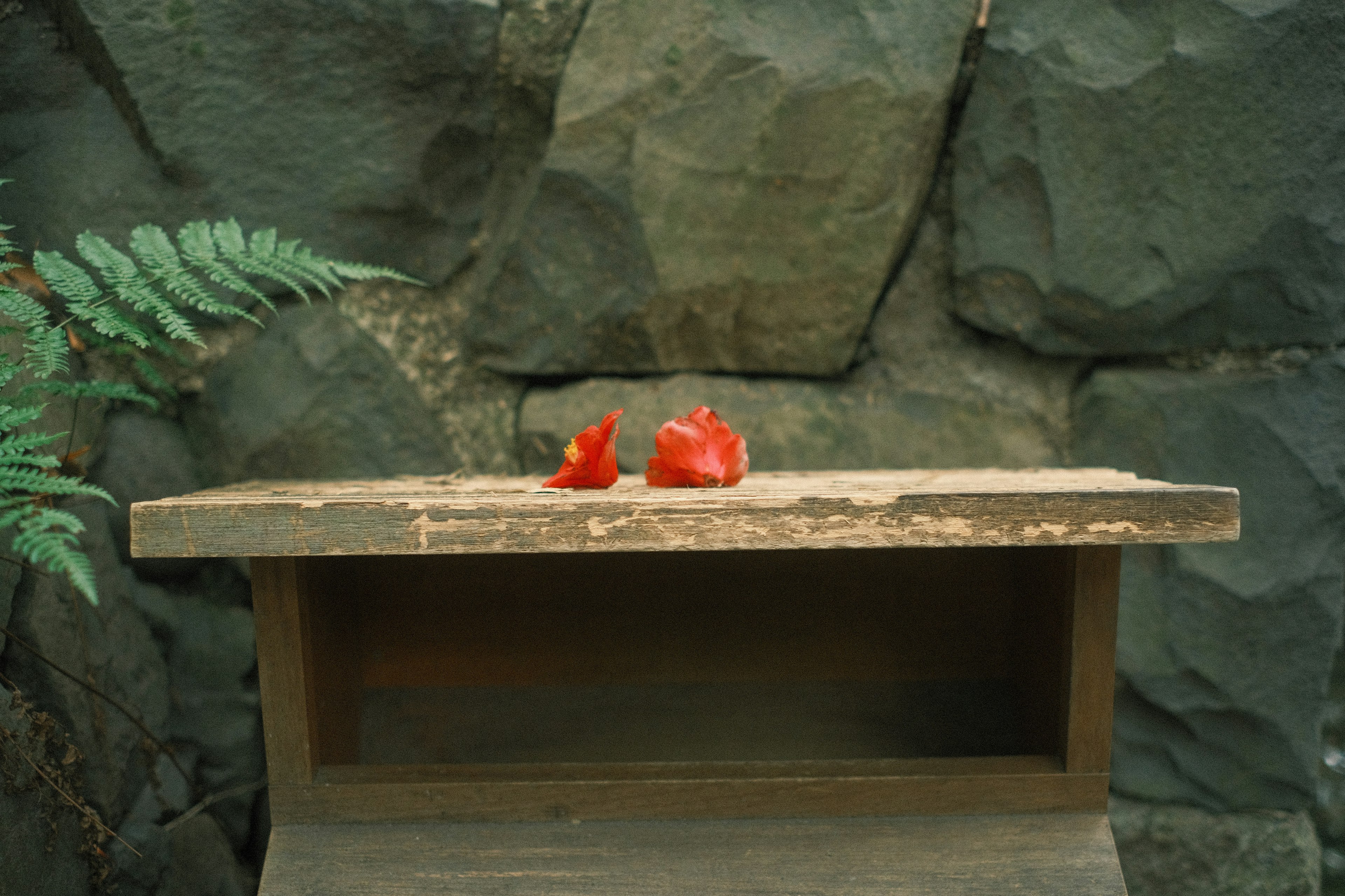 Une table en bois avec des pétales de fleurs rouges sur le dessus contre un mur en pierre