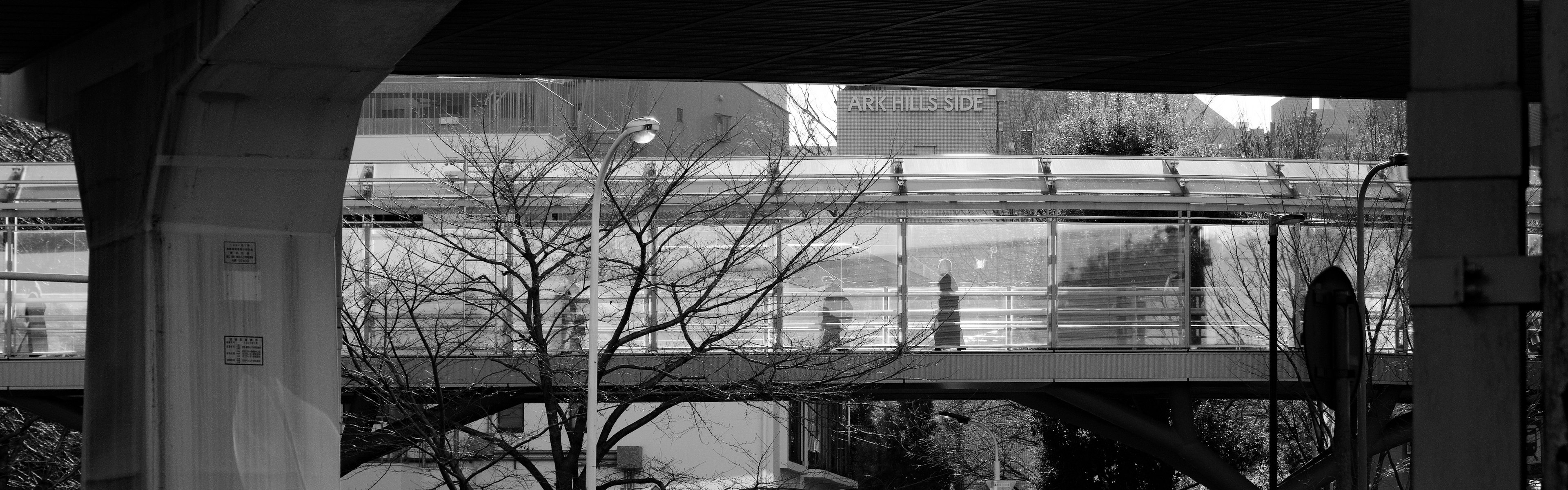 Black and white urban scene featuring a pedestrian bridge and trees