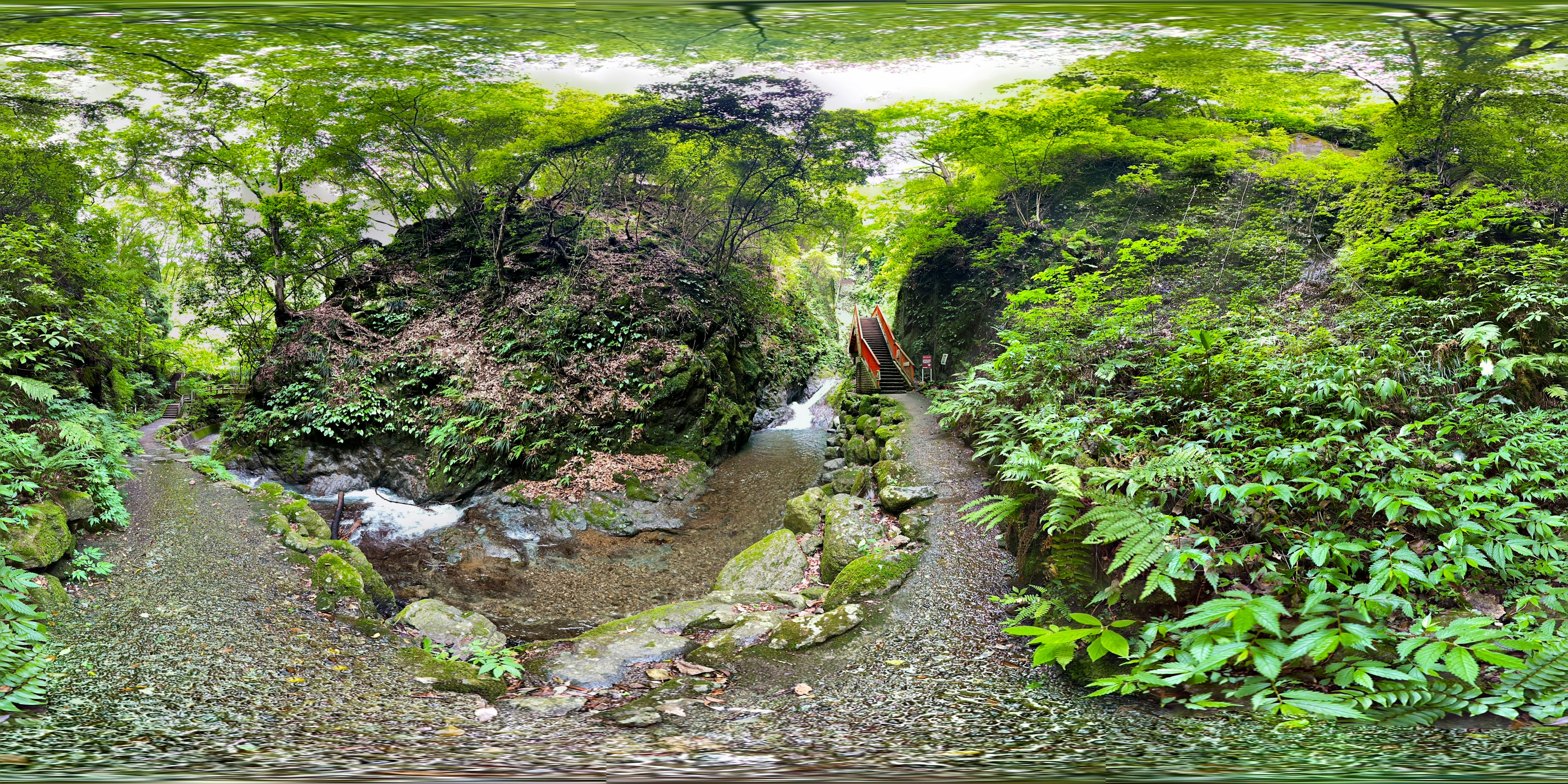 緑豊かな森の中に流れる小川と岩々の風景