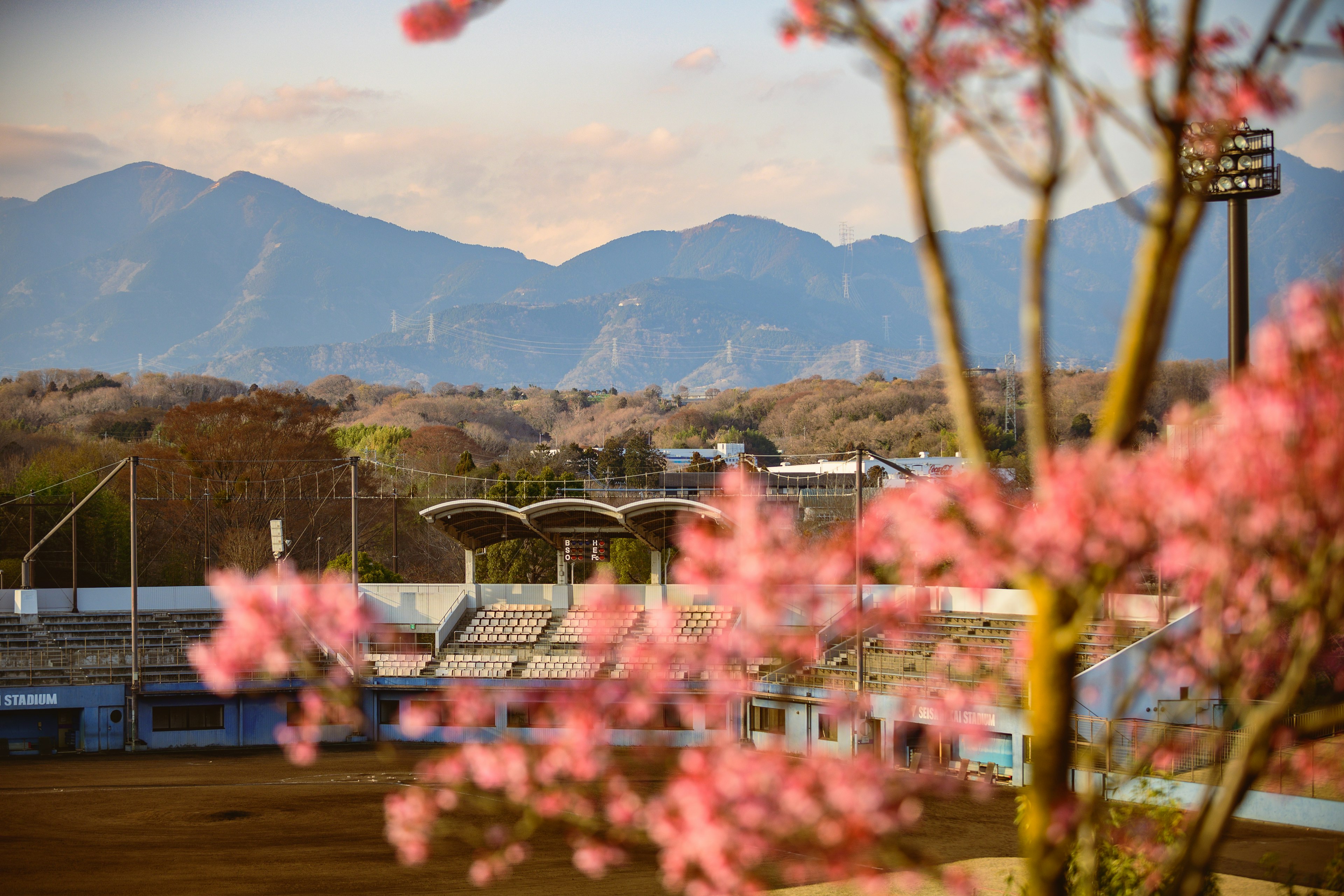 桜の花と山々の風景が広がるスポーツスタジアムの眺め