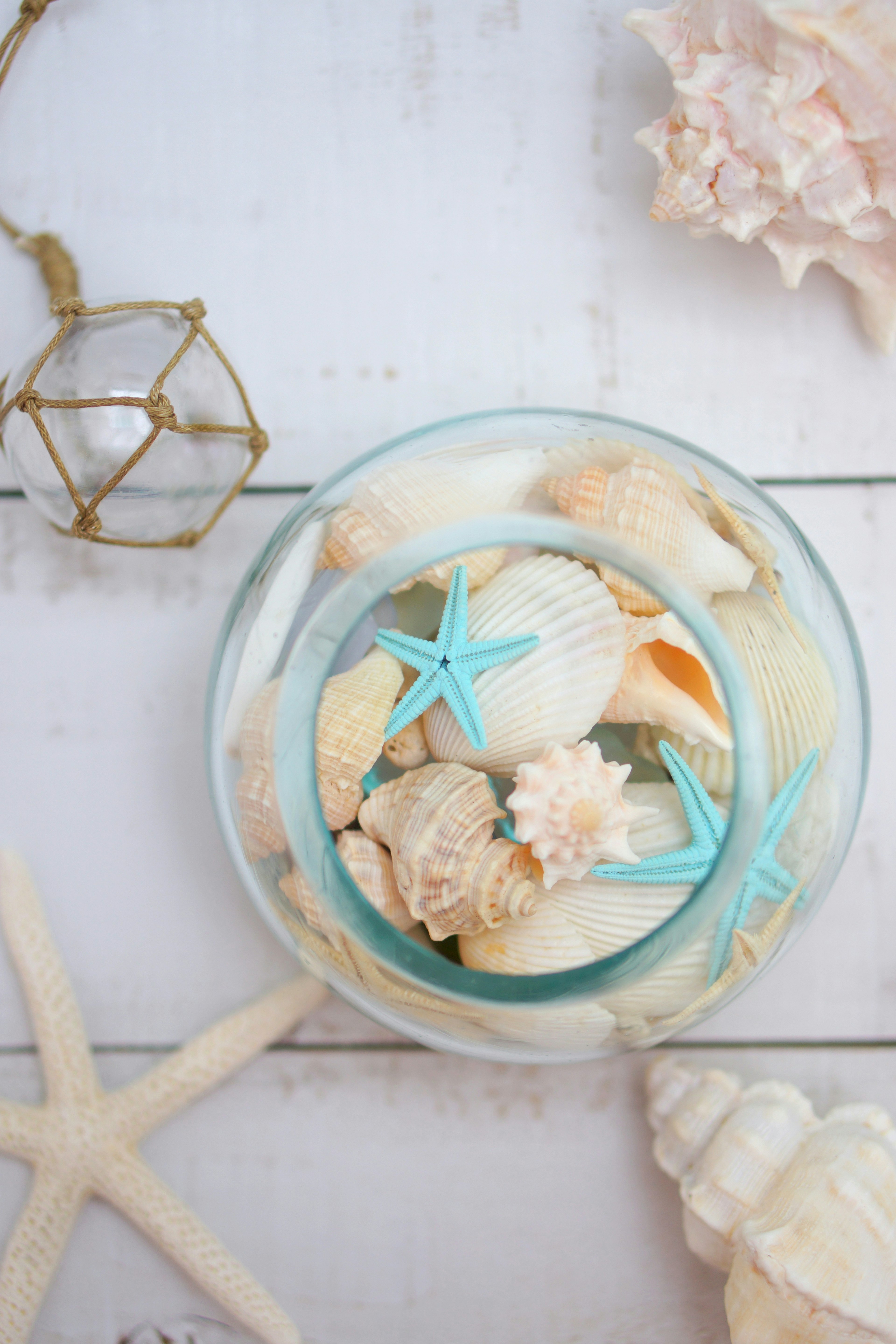 Decorative bowl filled with seashells and blue starfish on a wooden surface