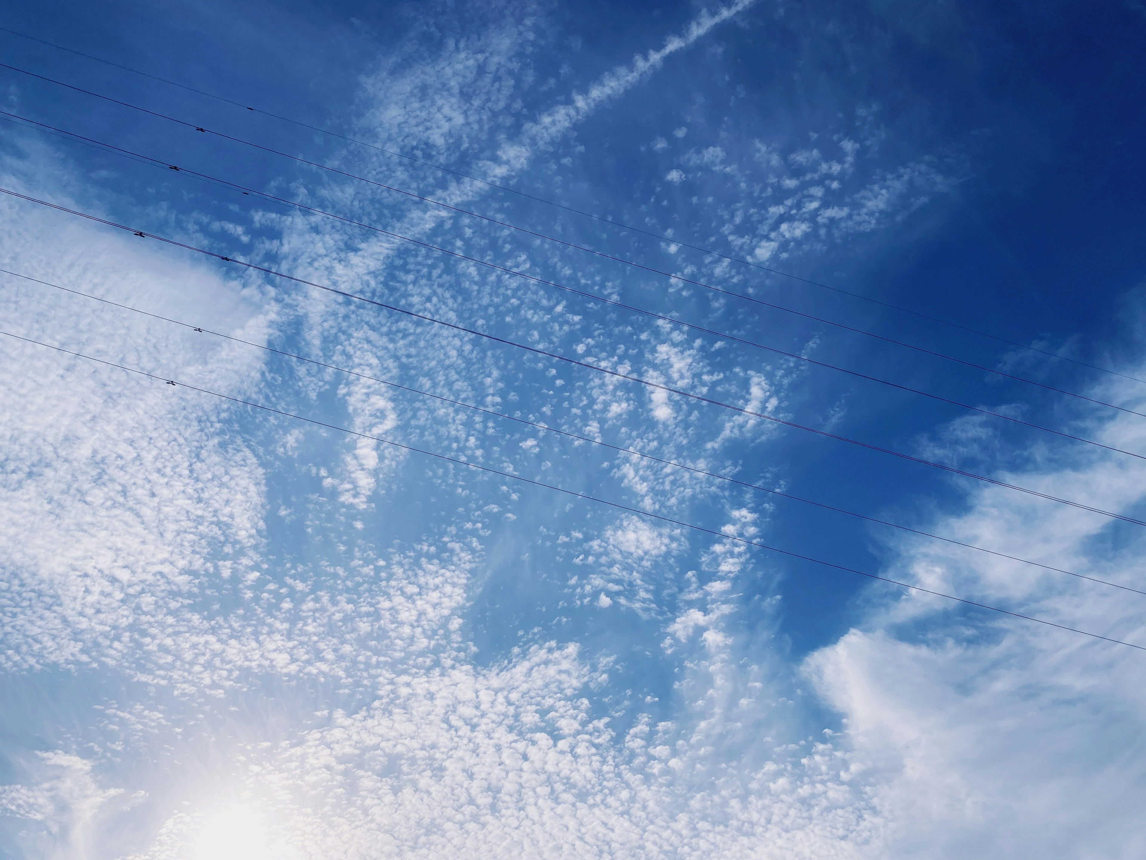 青空に白い雲が広がる美しい風景