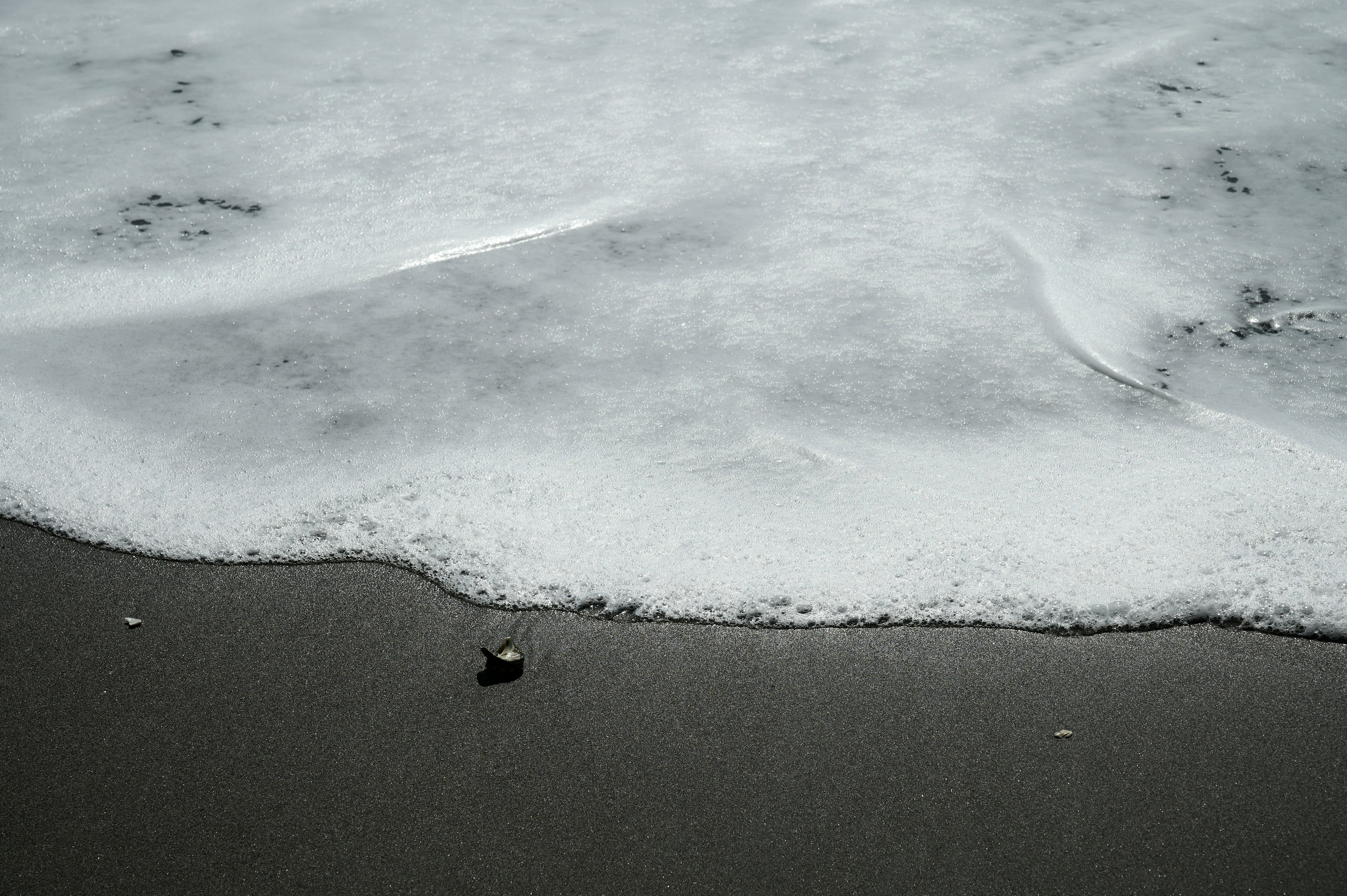 Gros plan d'une plage avec des vagues qui lavent le sable et un petit coquillage