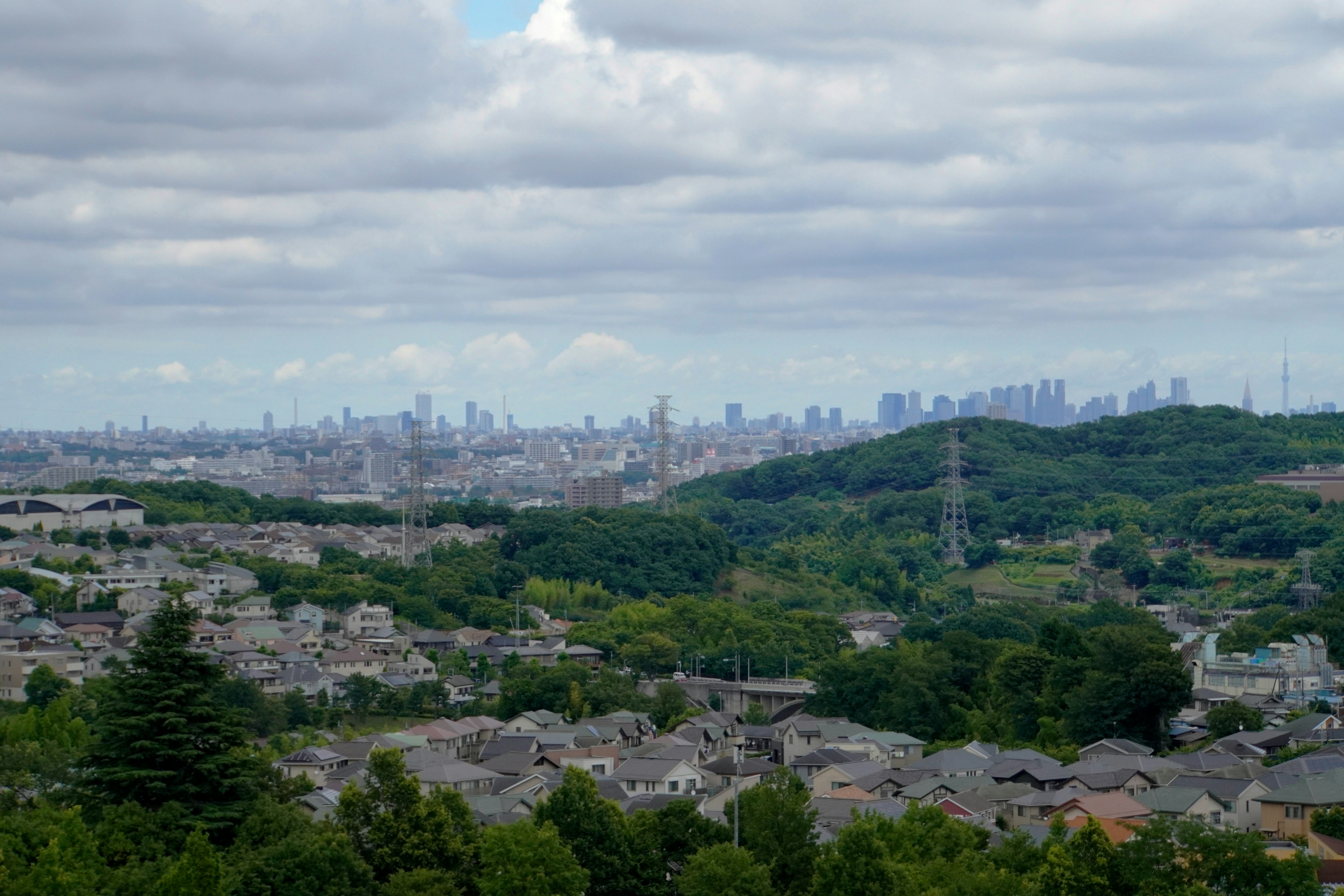 緑豊かな丘の上からの都市の遠景 様々な建物と高層ビルが並ぶ