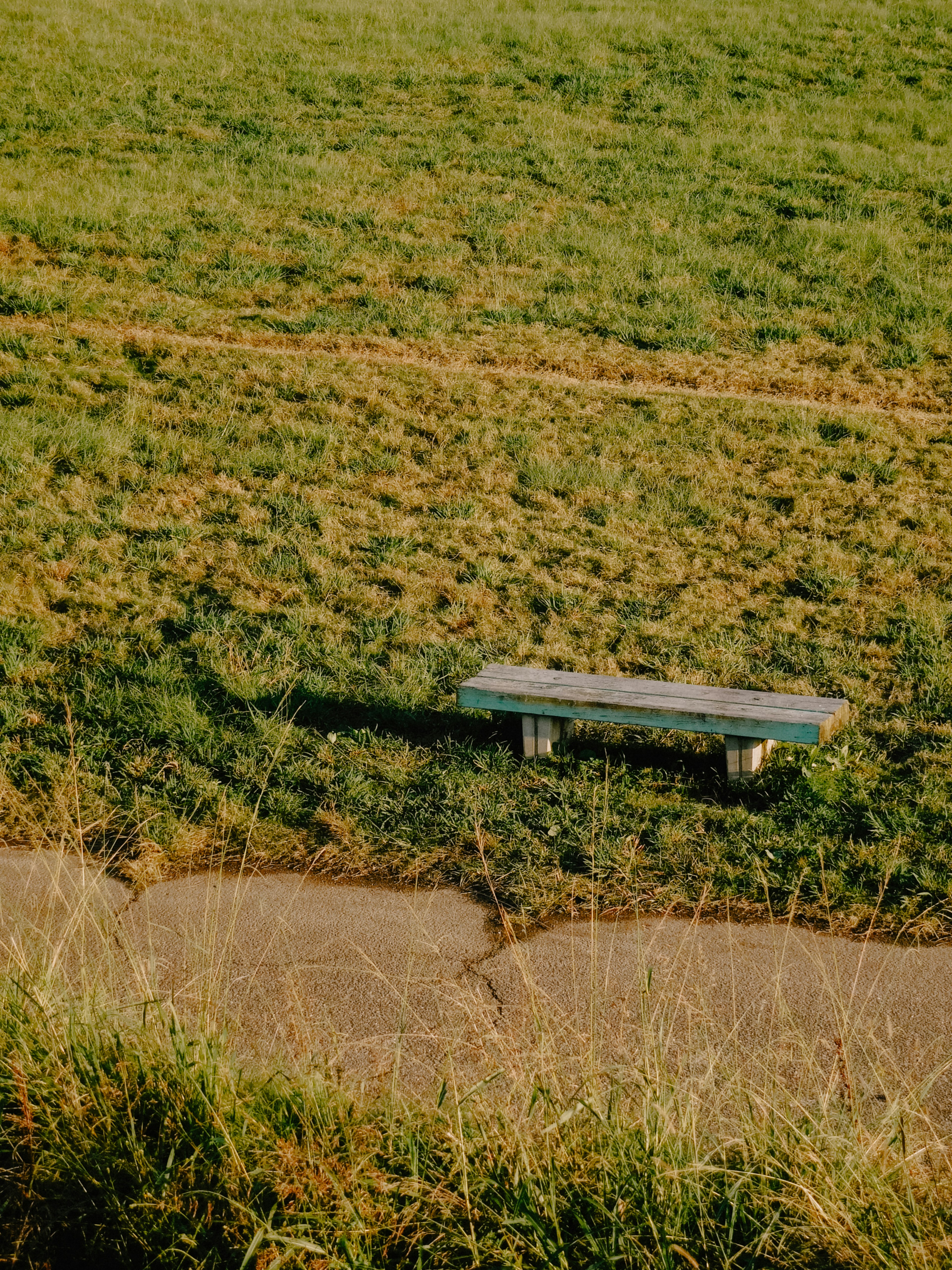 Immagine di una panchina in legno situata in un campo erboso