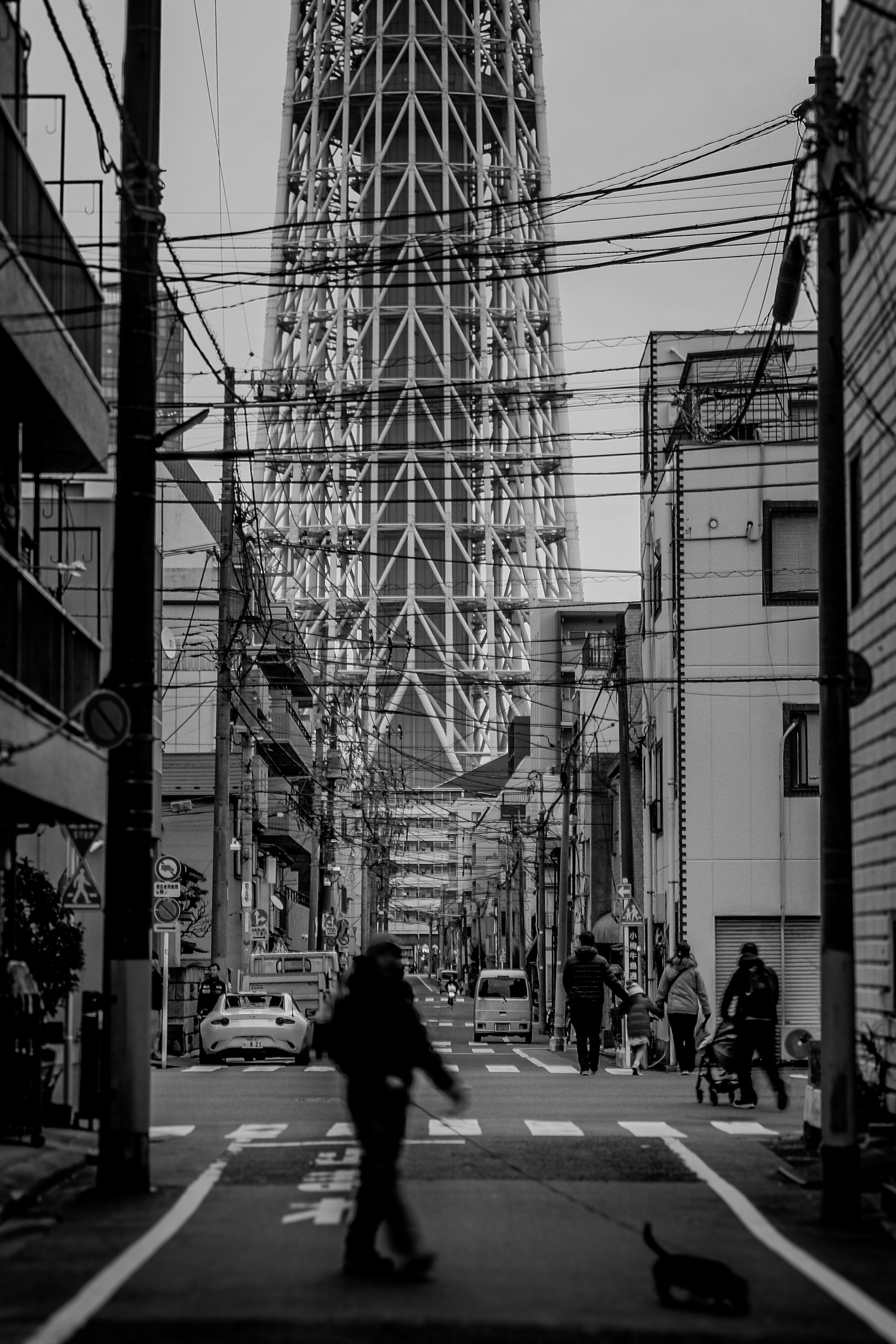 Städtische Szene mit der Tokyo Skytree im Hintergrund und Fußgängern