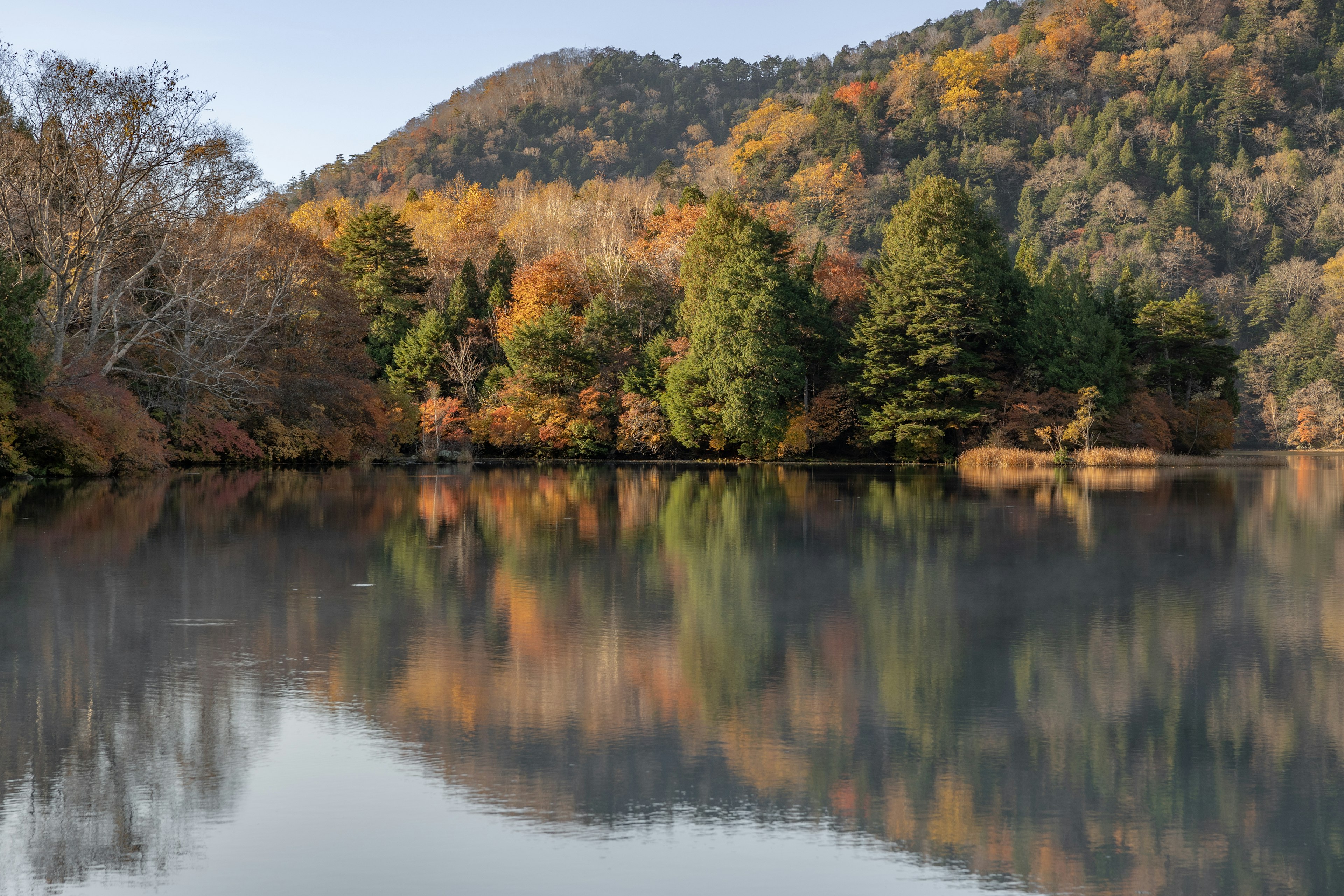 Ruhiger See mit schönen Reflexionen von Herbstbäumen