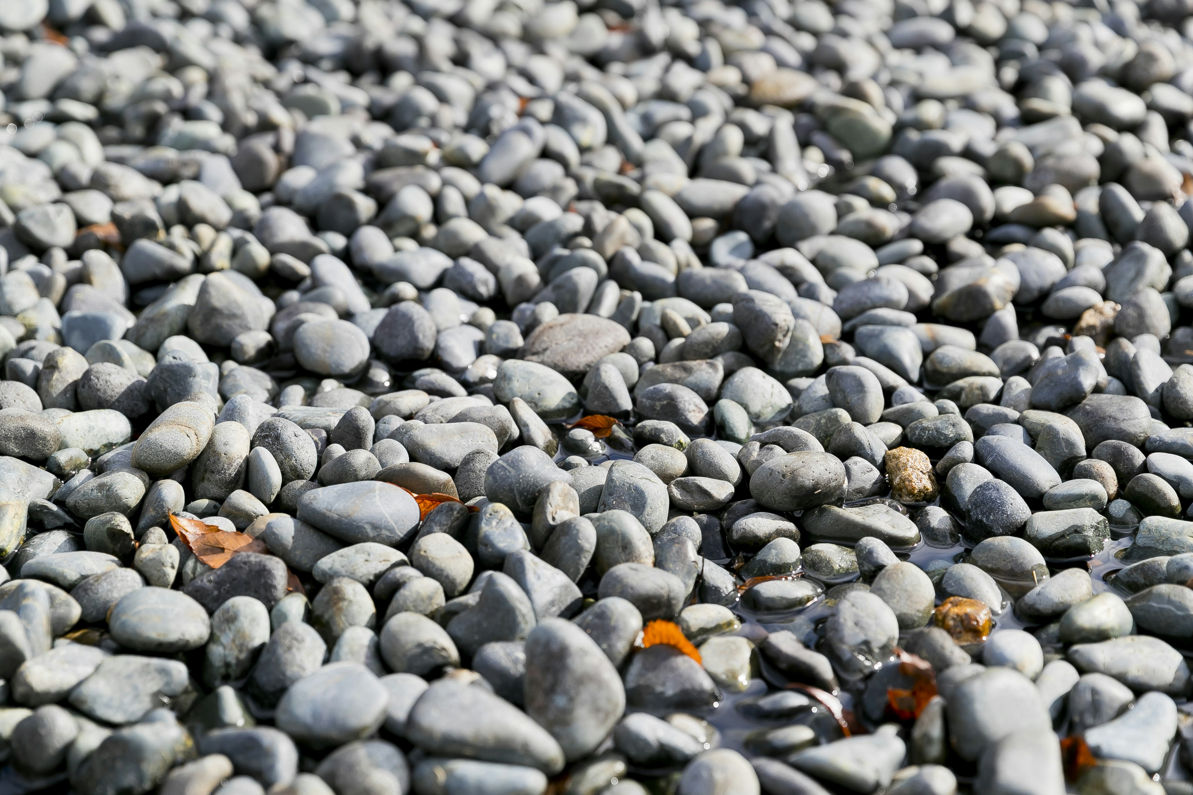 Primer plano de un suelo cubierto de pequeñas piedras