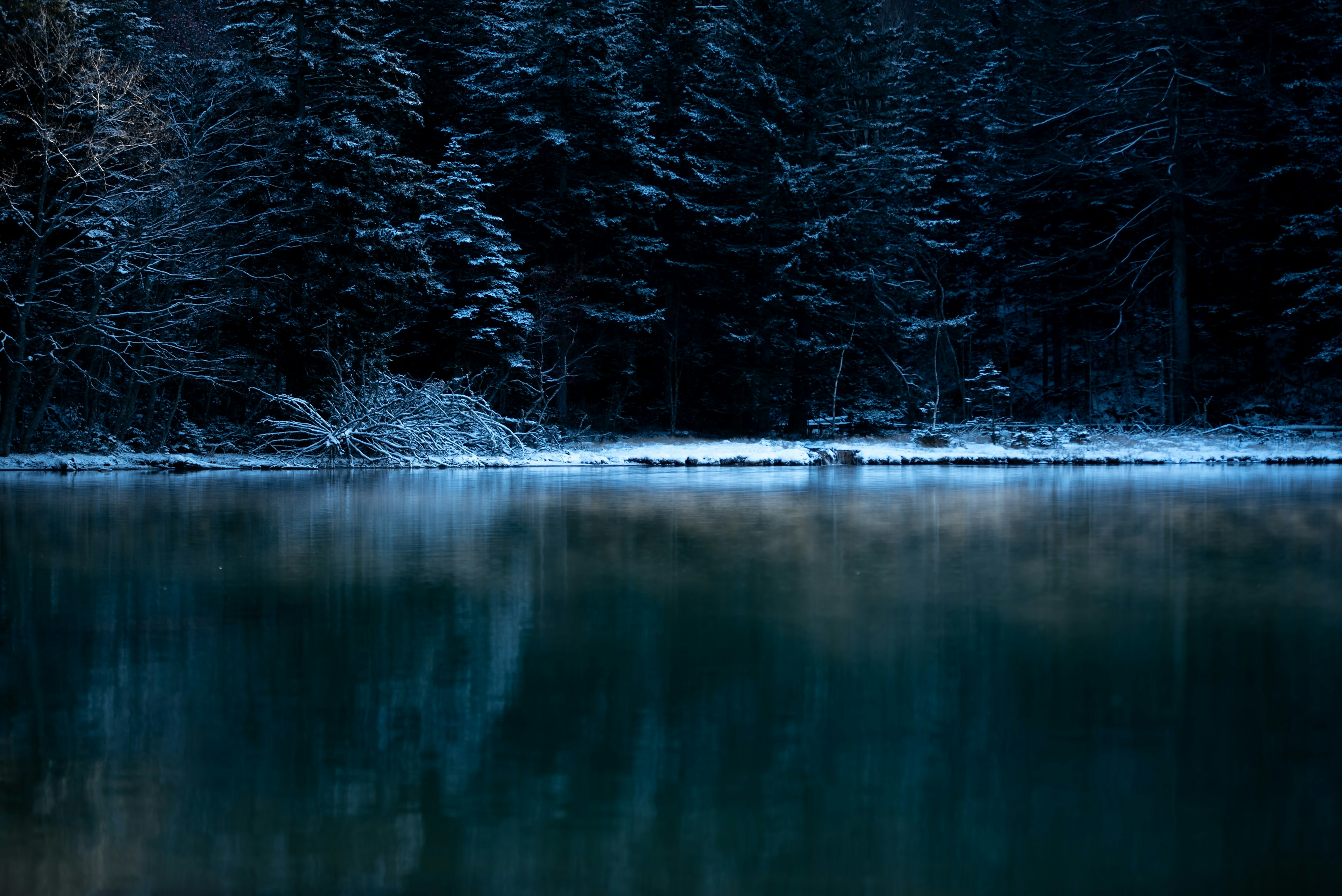 静かな湖と雪をかぶった木々の風景