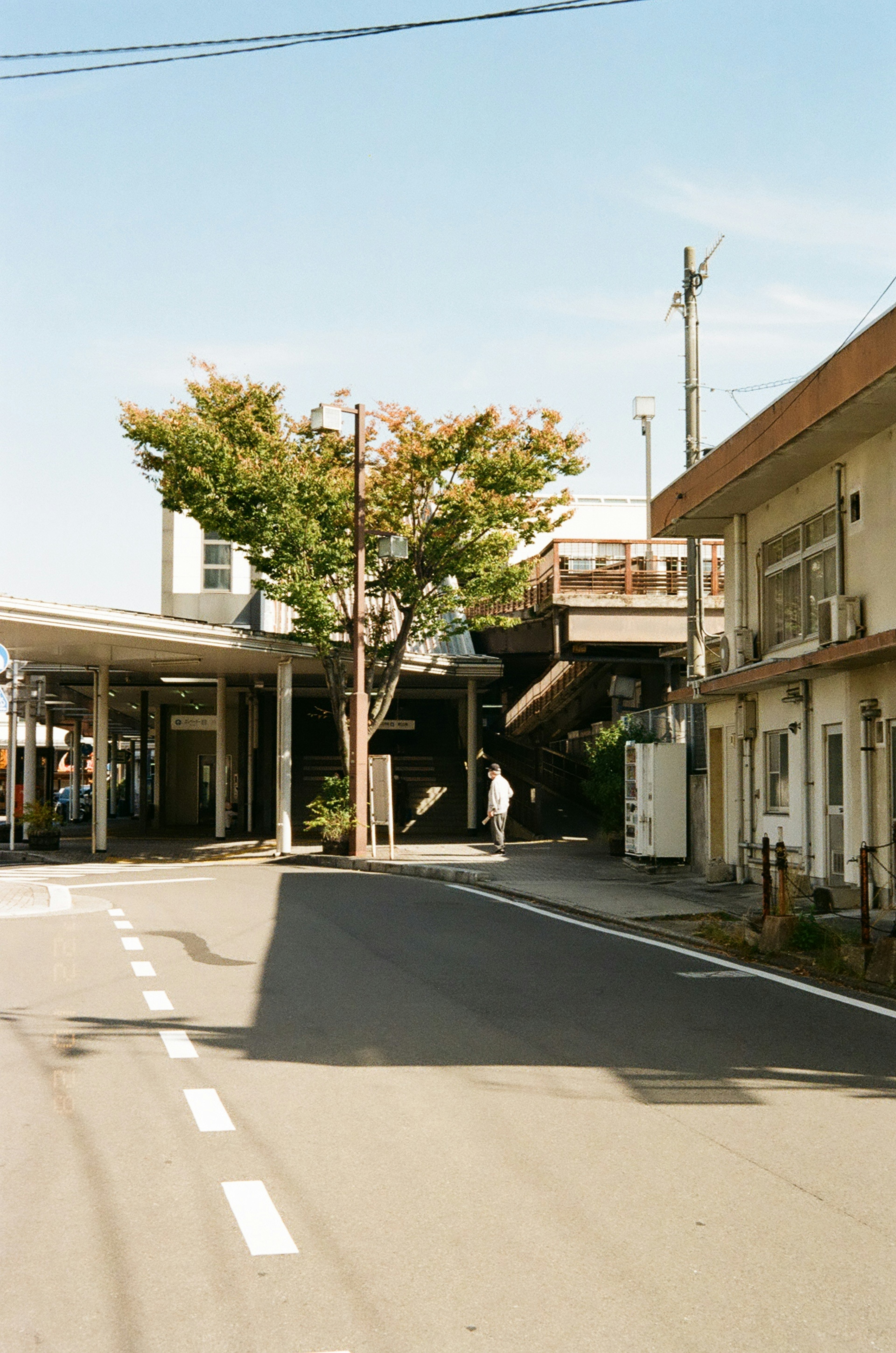 静かな街の風景にある木と建物