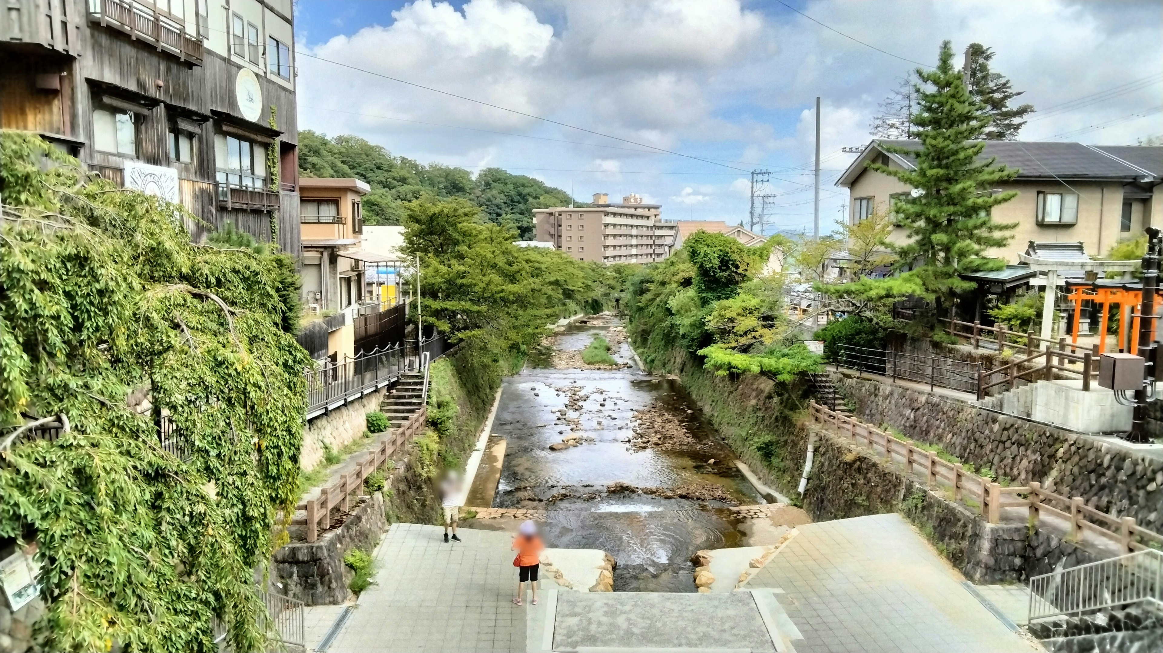 郁郁葱葱的河流和周围建筑的风景