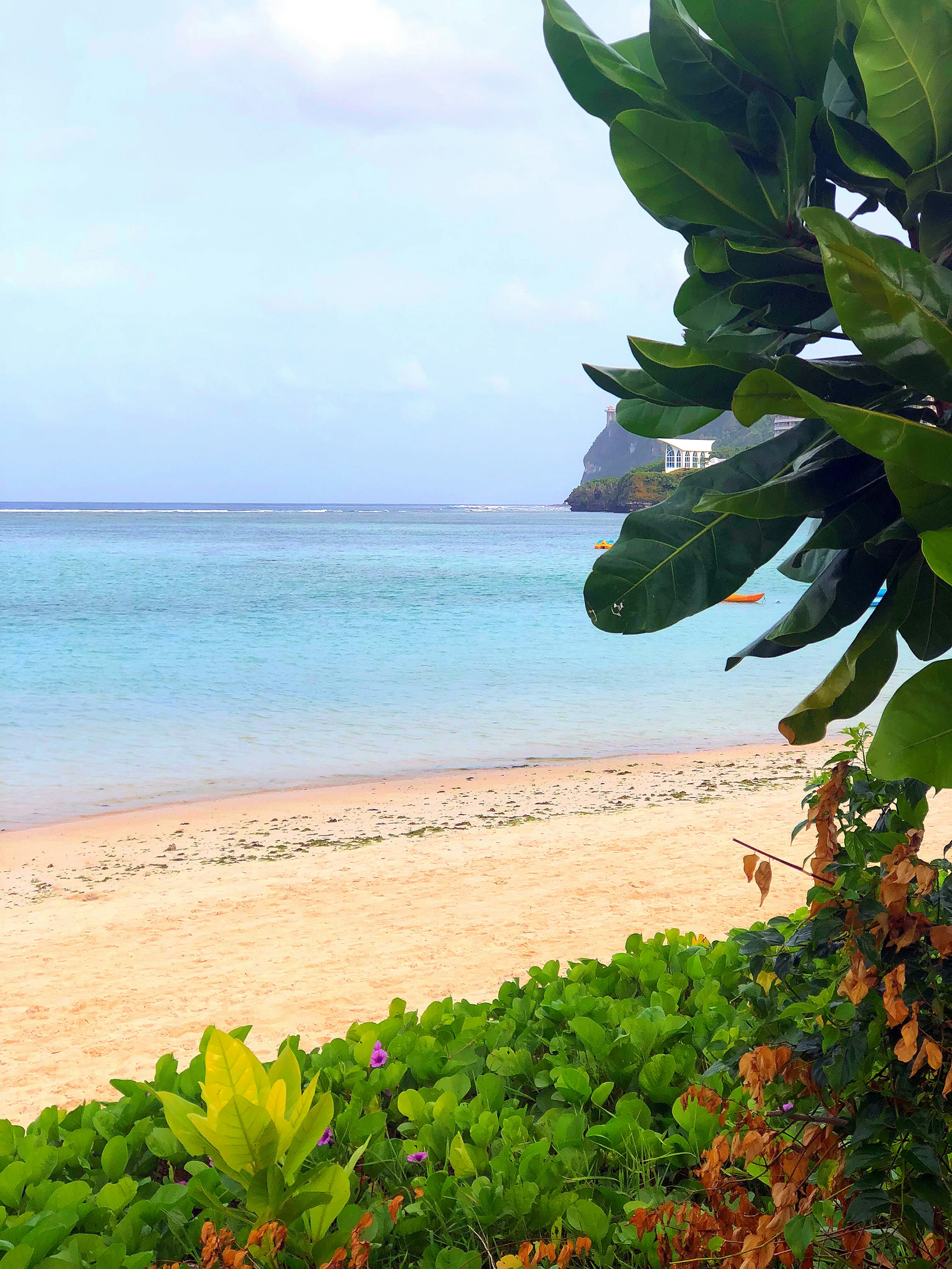 美丽的海滩景色蓝色海洋和绿色植物温和的波浪