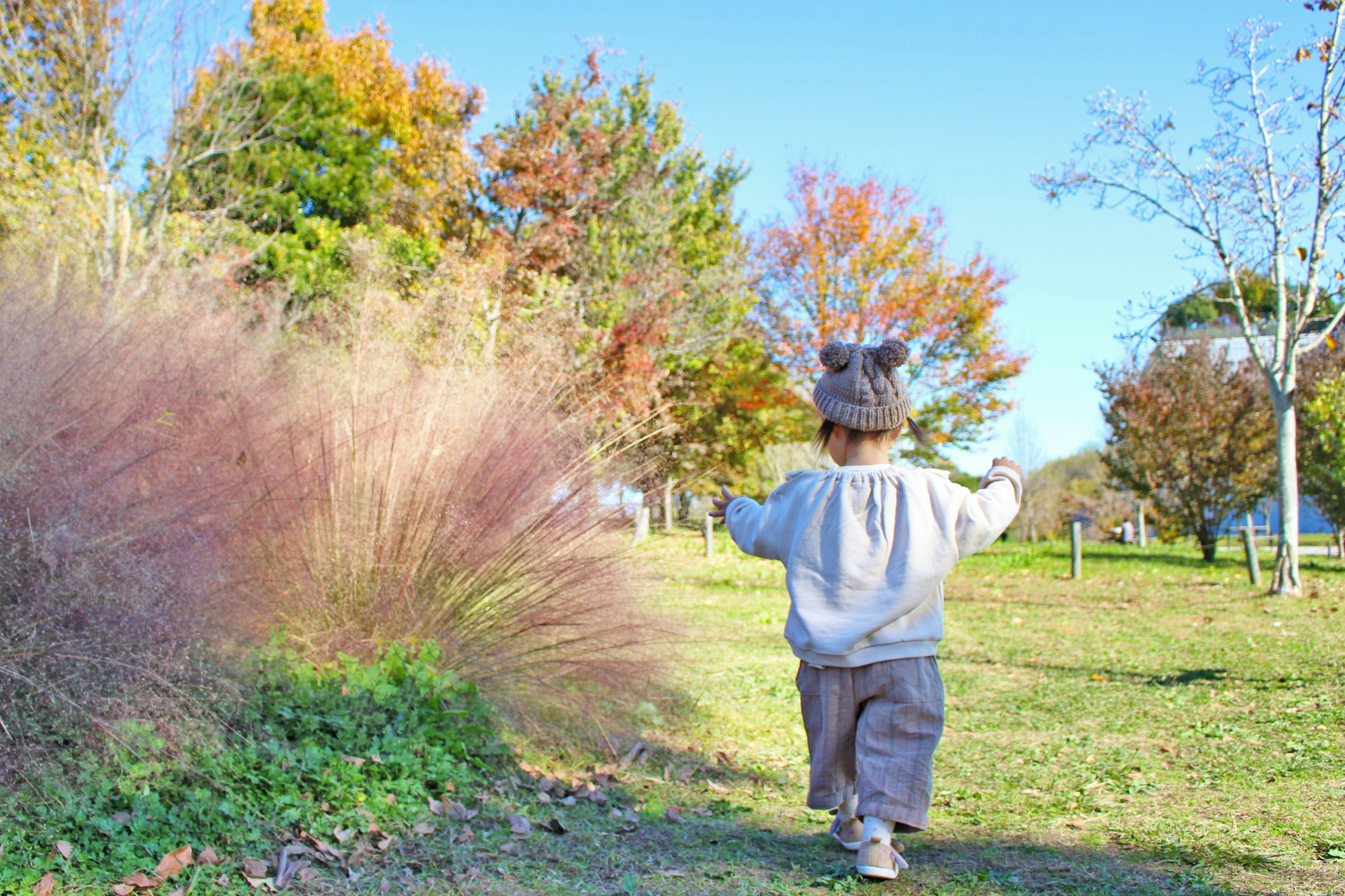 Un niño caminando en un parque rodeado de follaje otoñal