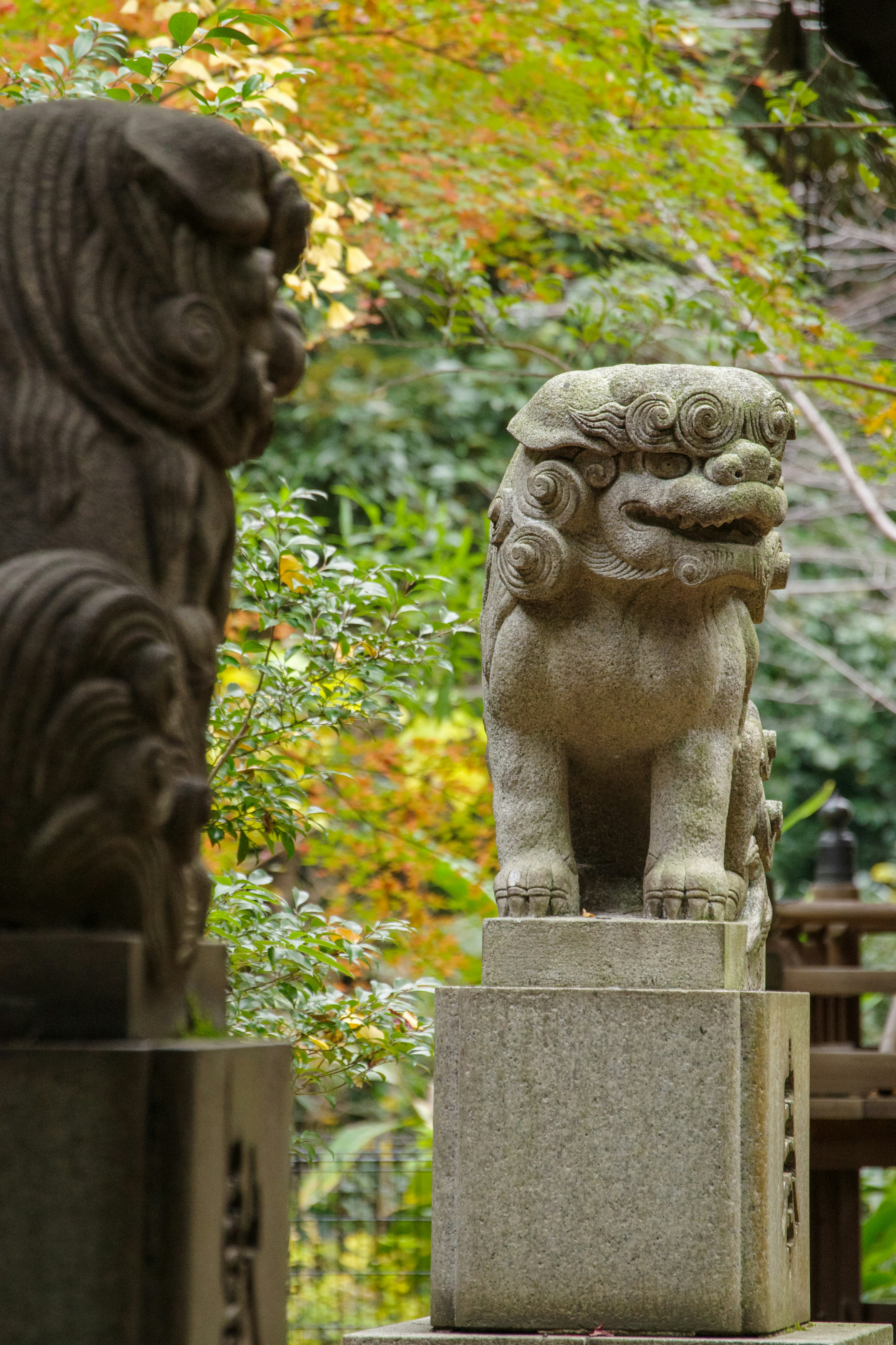 石の狛犬が並ぶ神社の風景 色とりどりの秋の葉が背景にある