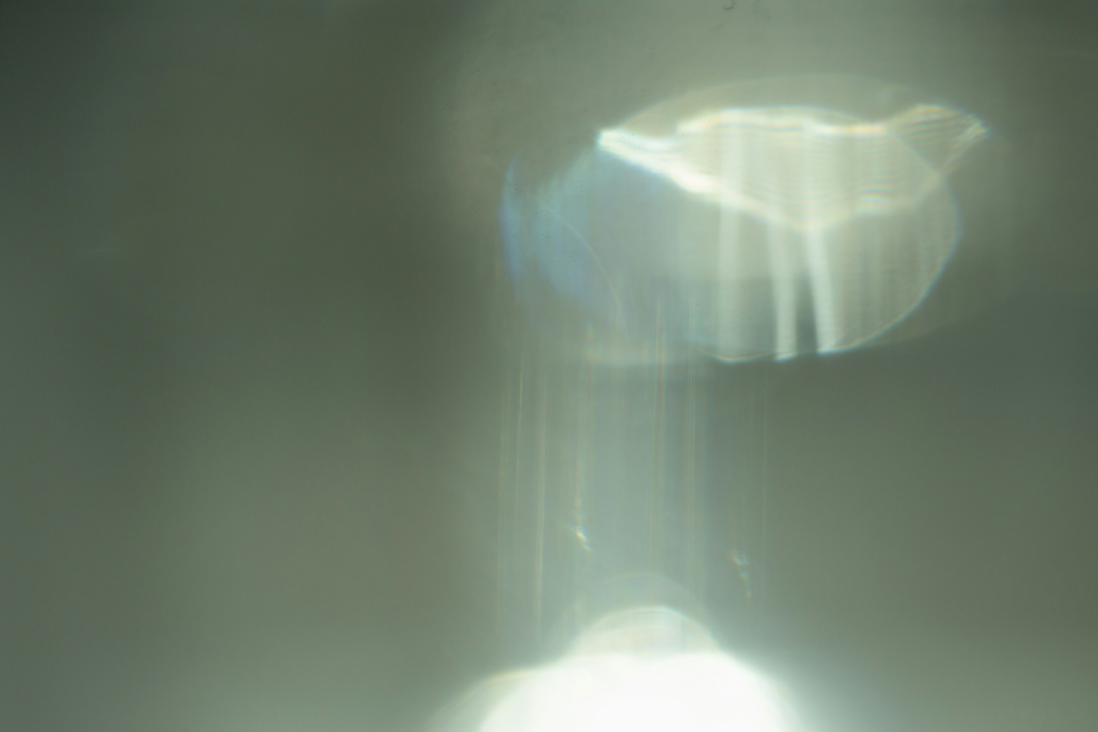 A blurred object resembling a water droplet in soft light