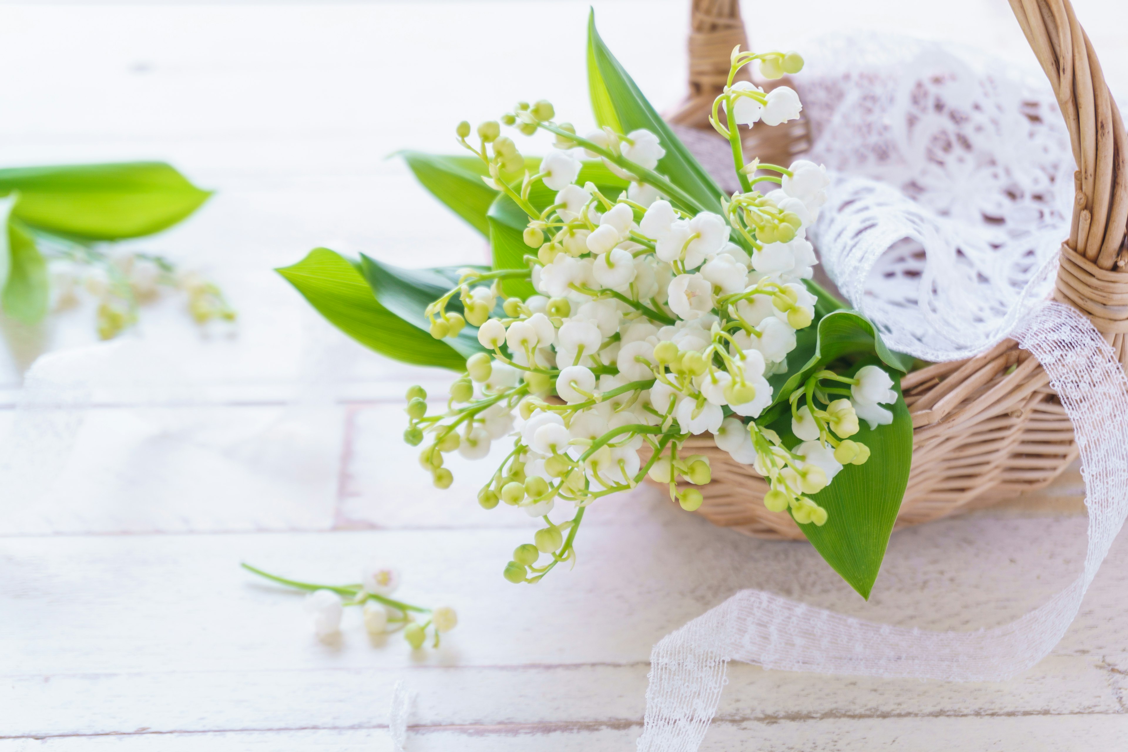 Arrangement of white lily of the valley flowers and green leaves in a small basket