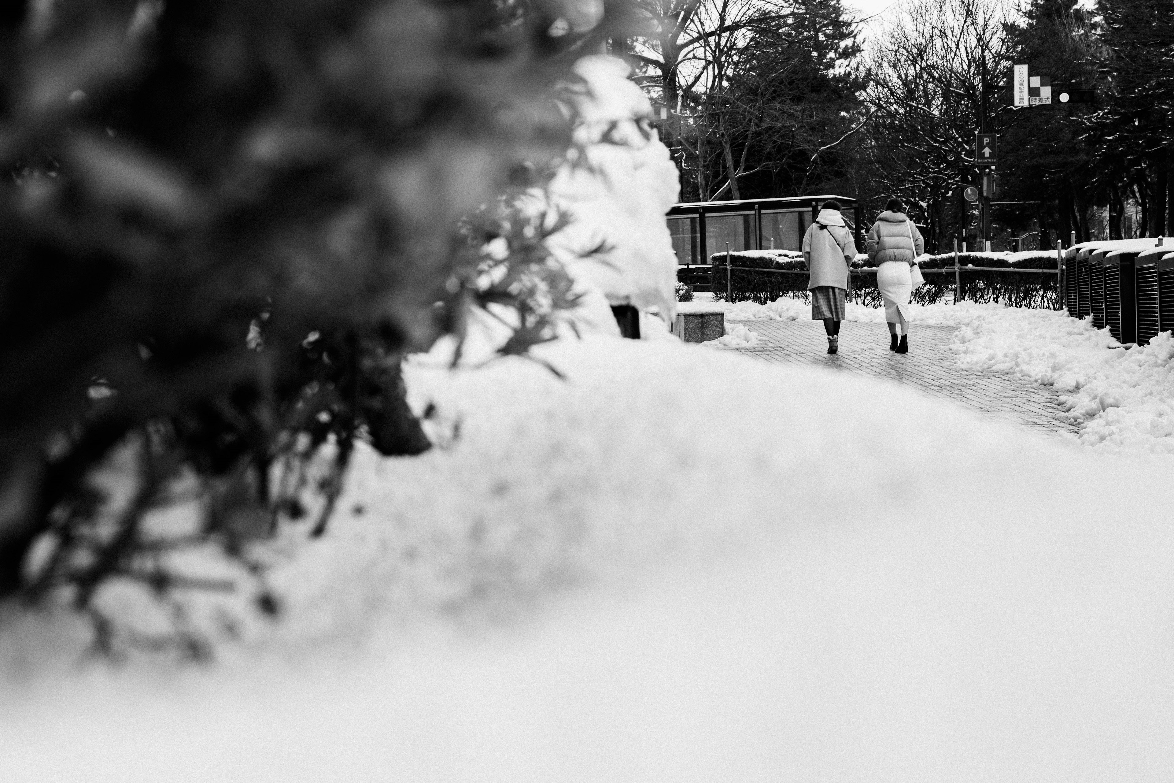 Black and white image of two people walking on a snow-covered path