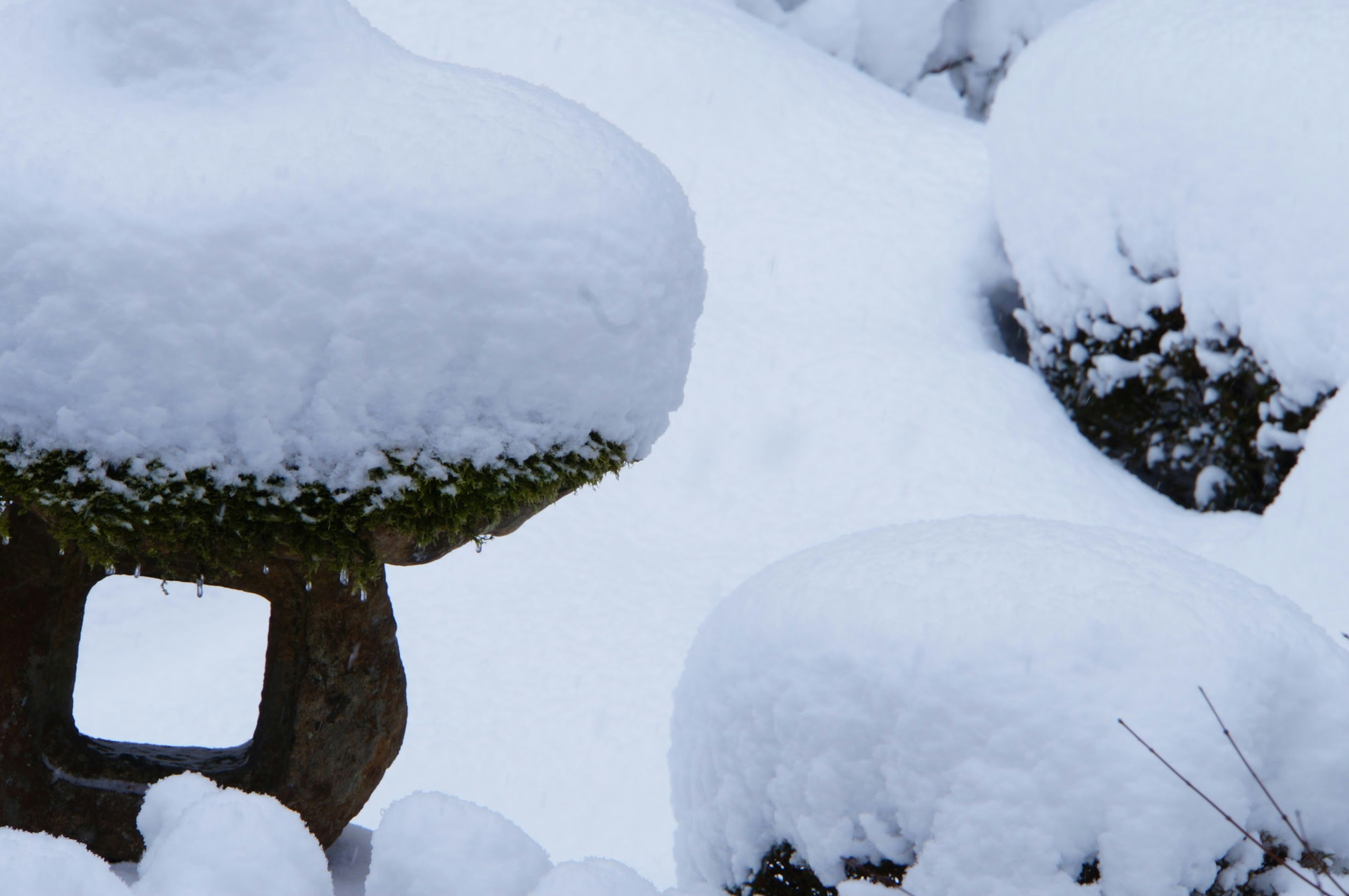 Lanterna in pietra del giardino giapponese coperta di neve e paesaggio innevato