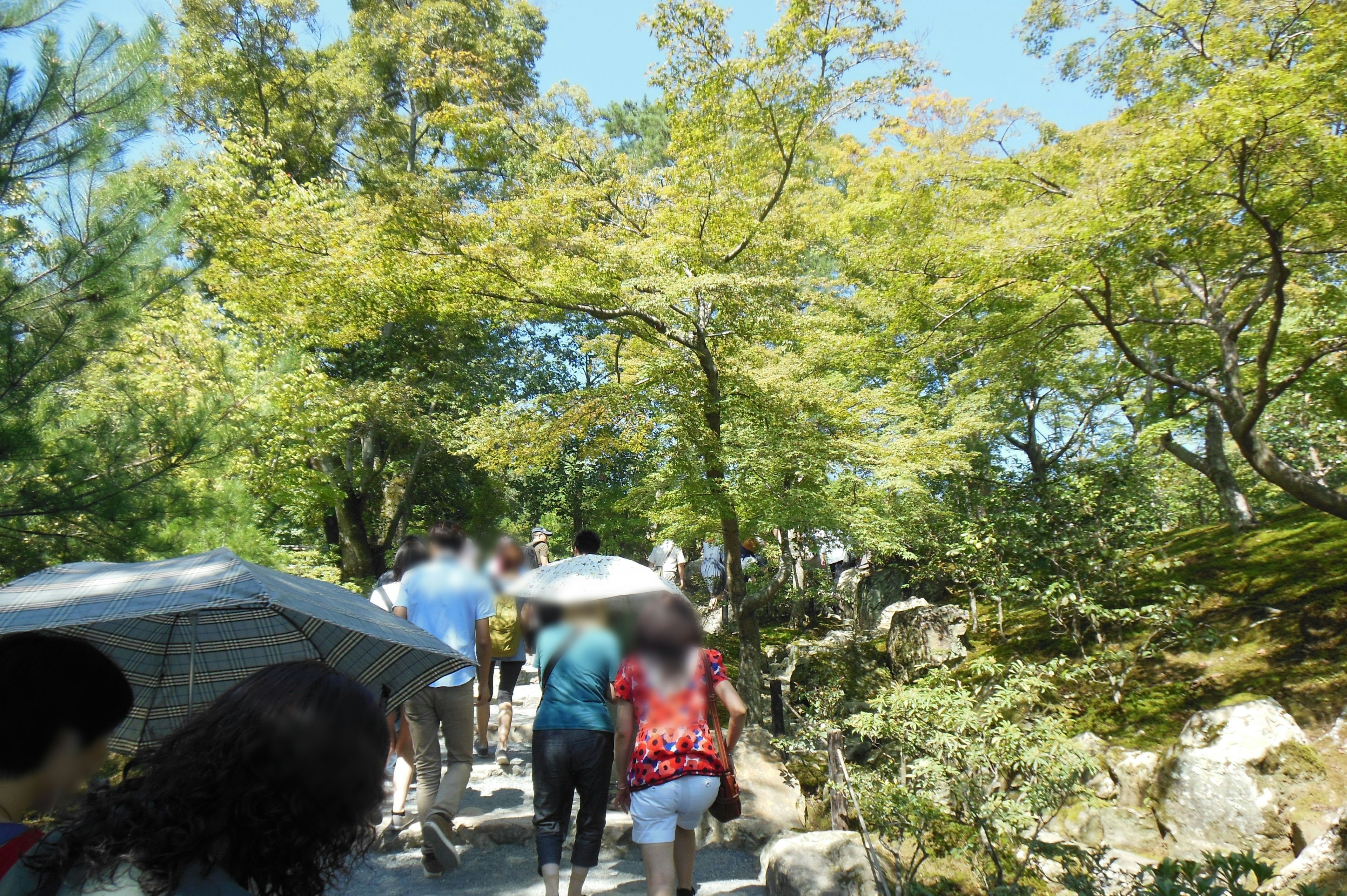 人們在綠意盎然的公園裡走著，手持雨傘