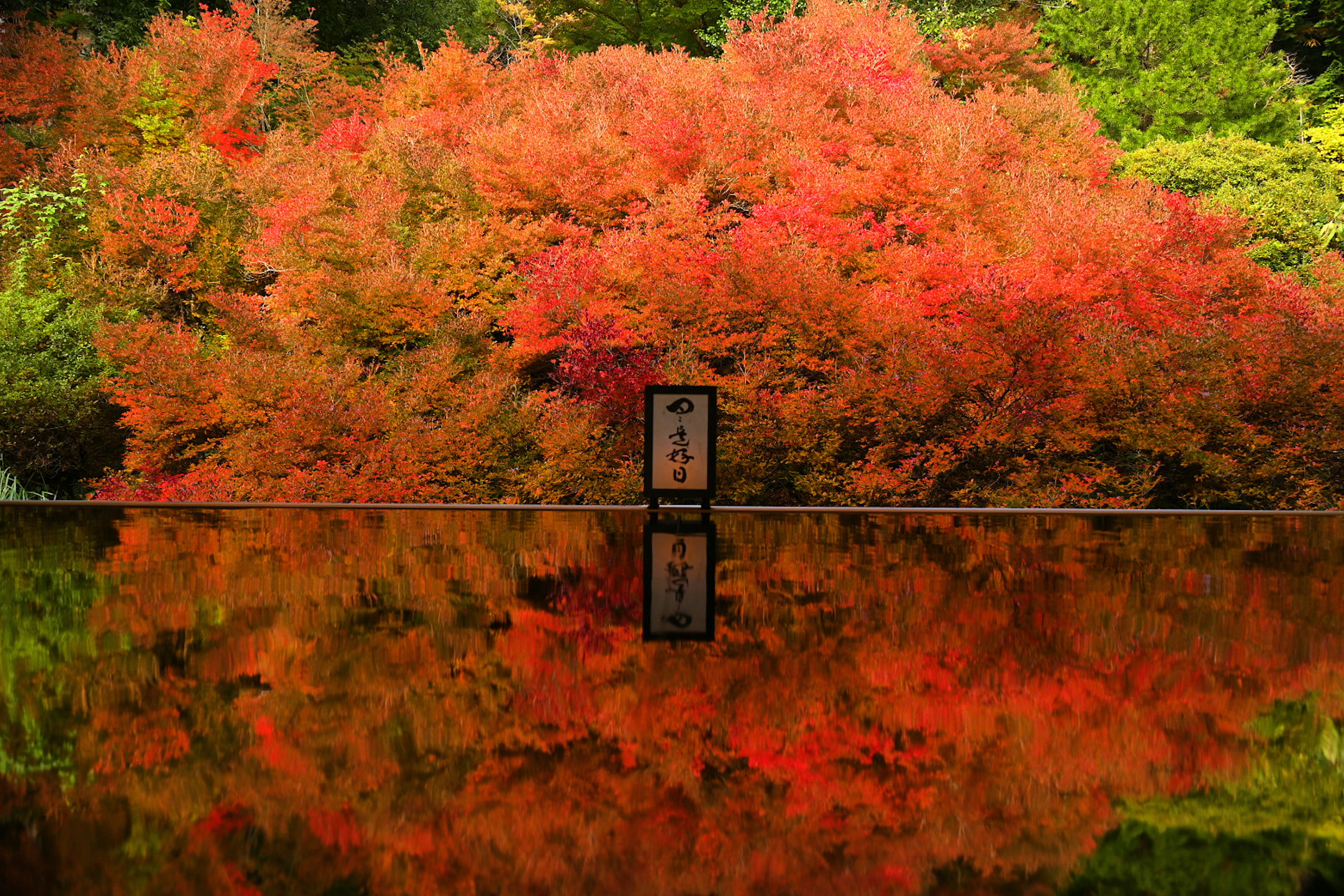 Eine Tür vor einem Teich, der lebendige Herbstlaub reflektiert