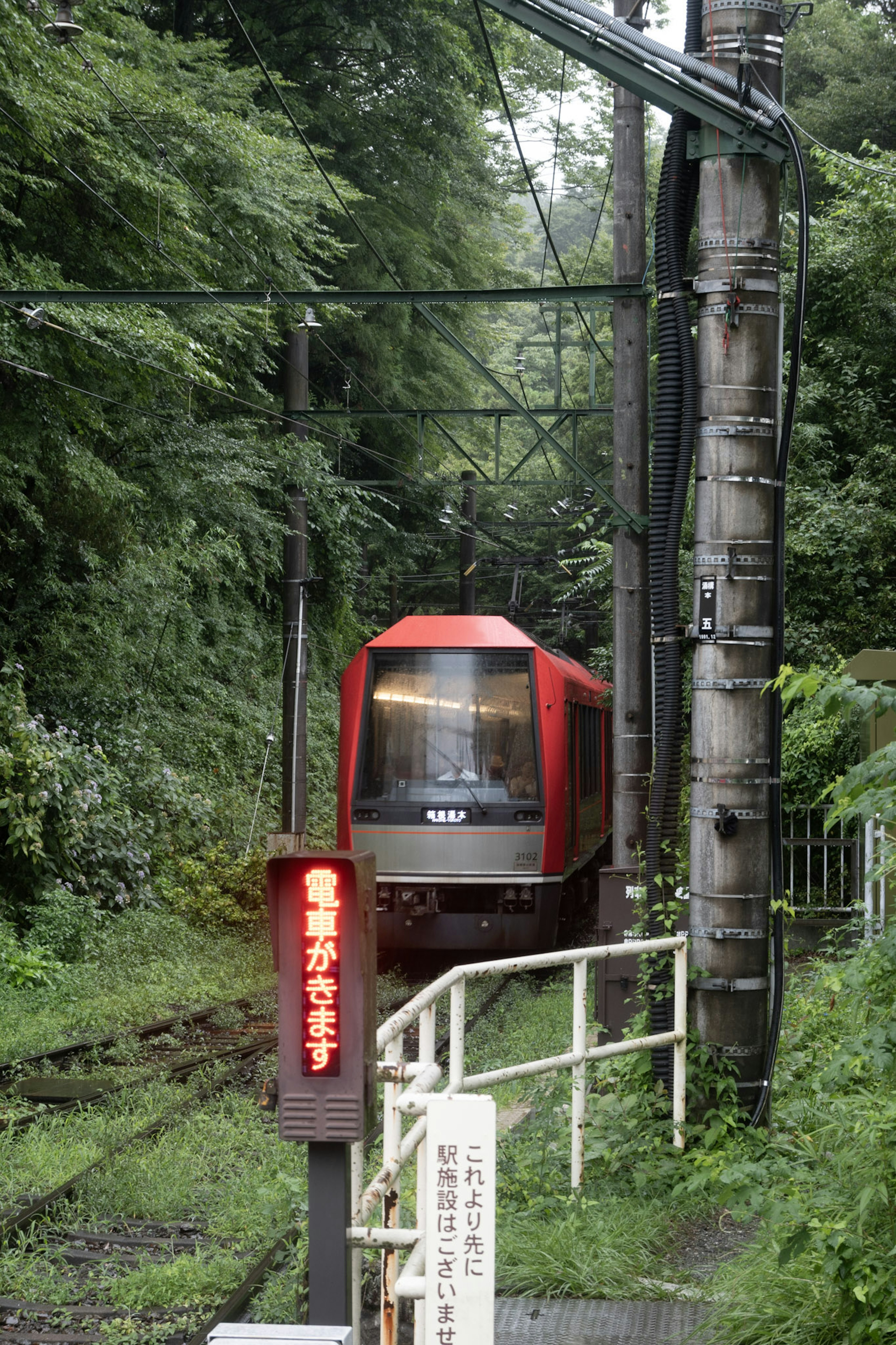 緑の木々に囲まれた赤い電車が線路を進む風景