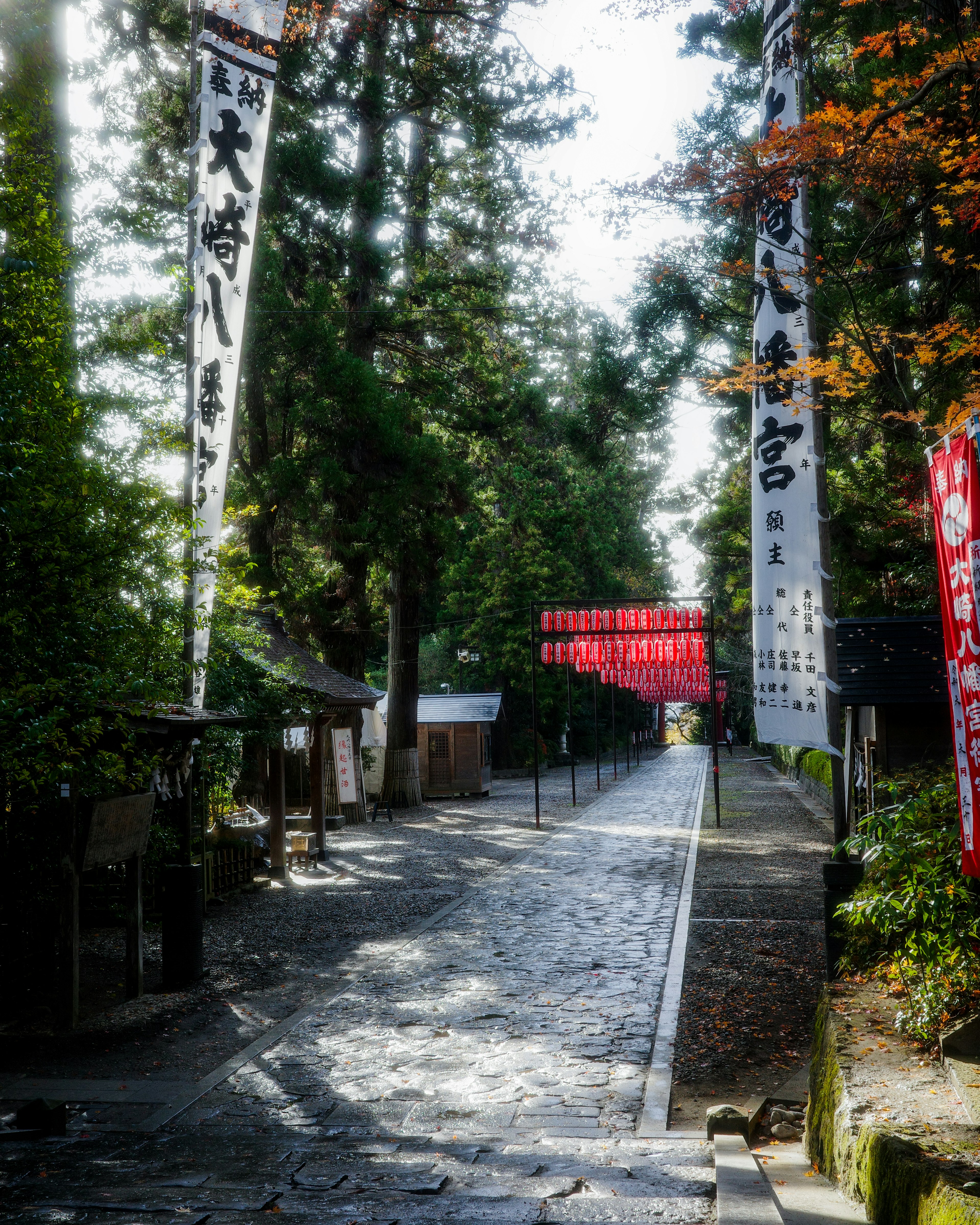 緑豊かな木々に囲まれた静かな道と赤い提灯がある風景