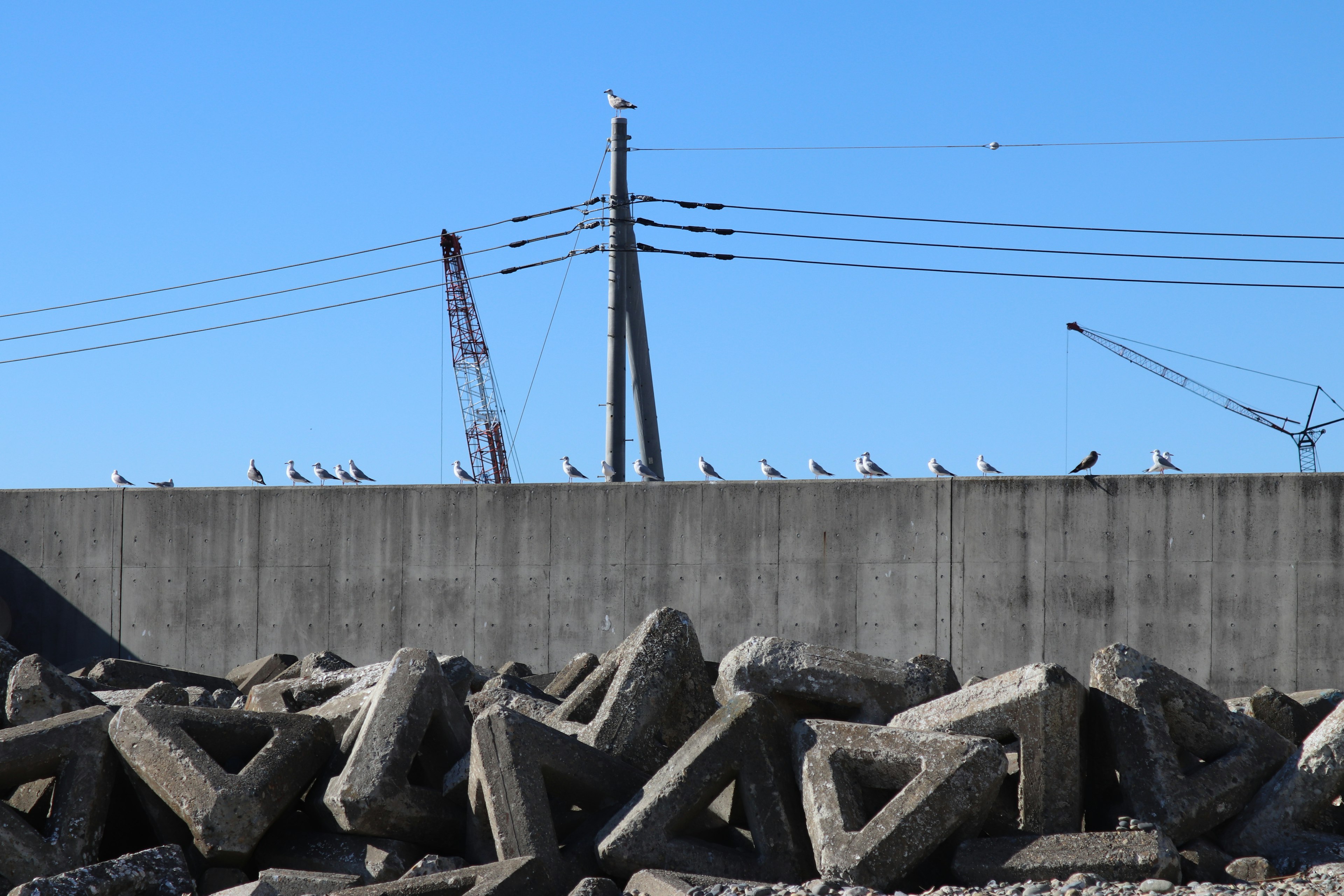 Landscape with concrete blocks and utility poles featuring cranes in the background