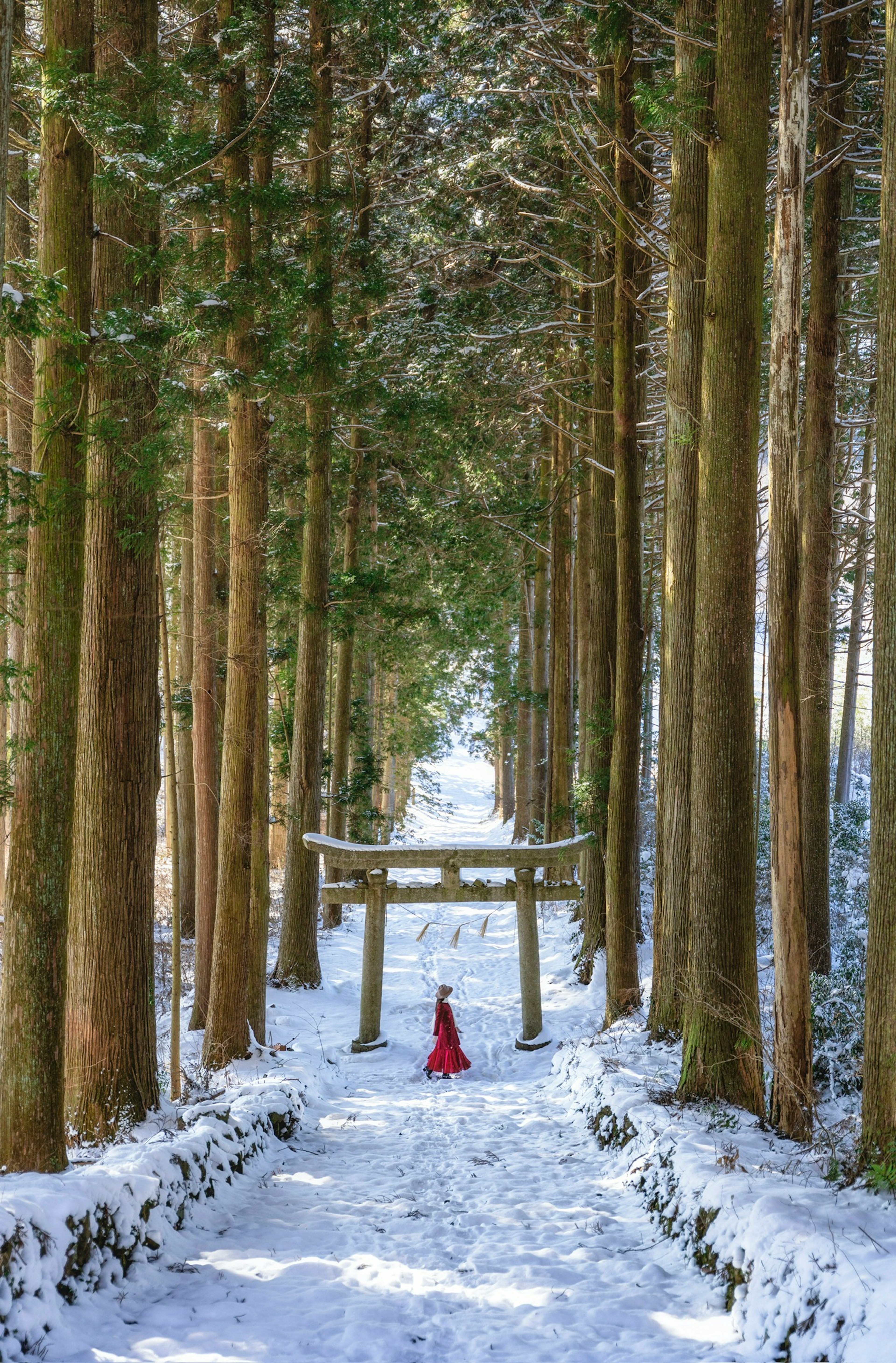 Una persona con ropa roja está debajo de un torii en un bosque cubierto de nieve