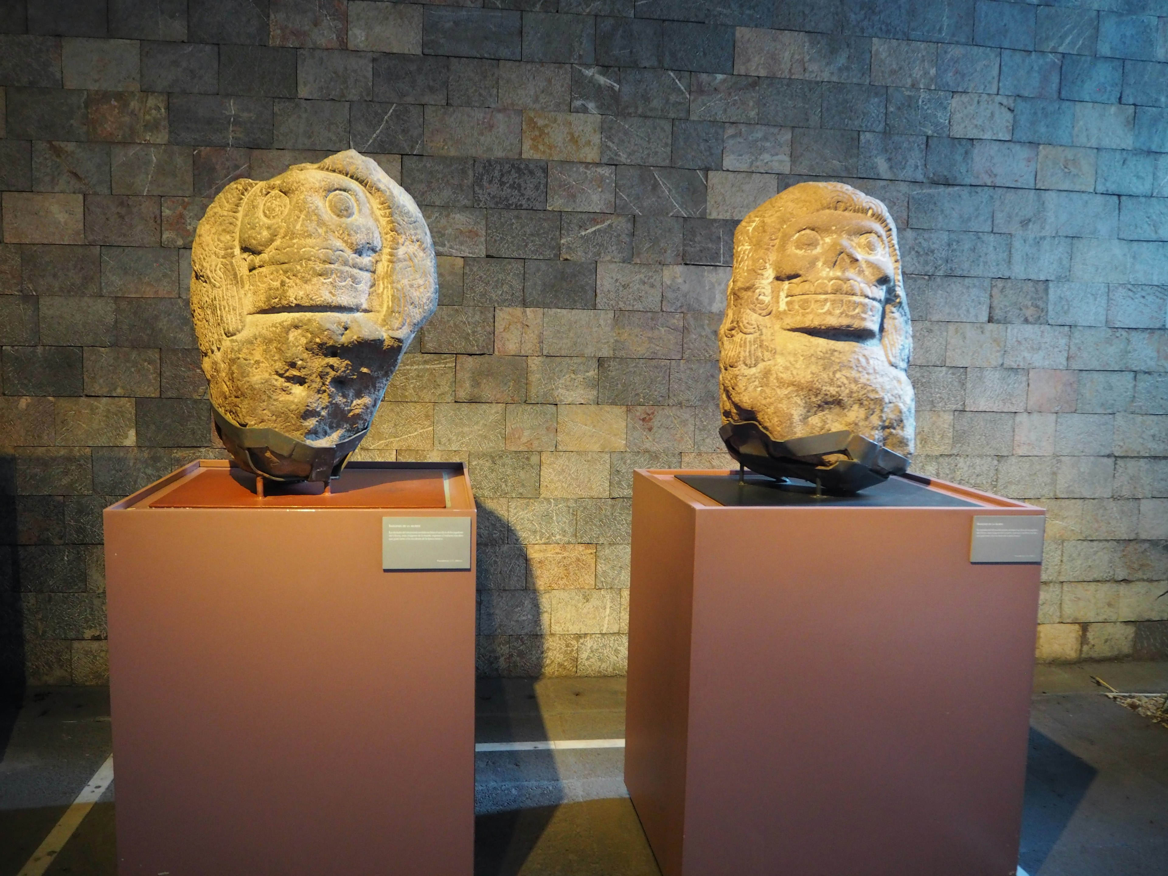 Dos esculturas de piedra antiguas exhibidas en un interior de museo