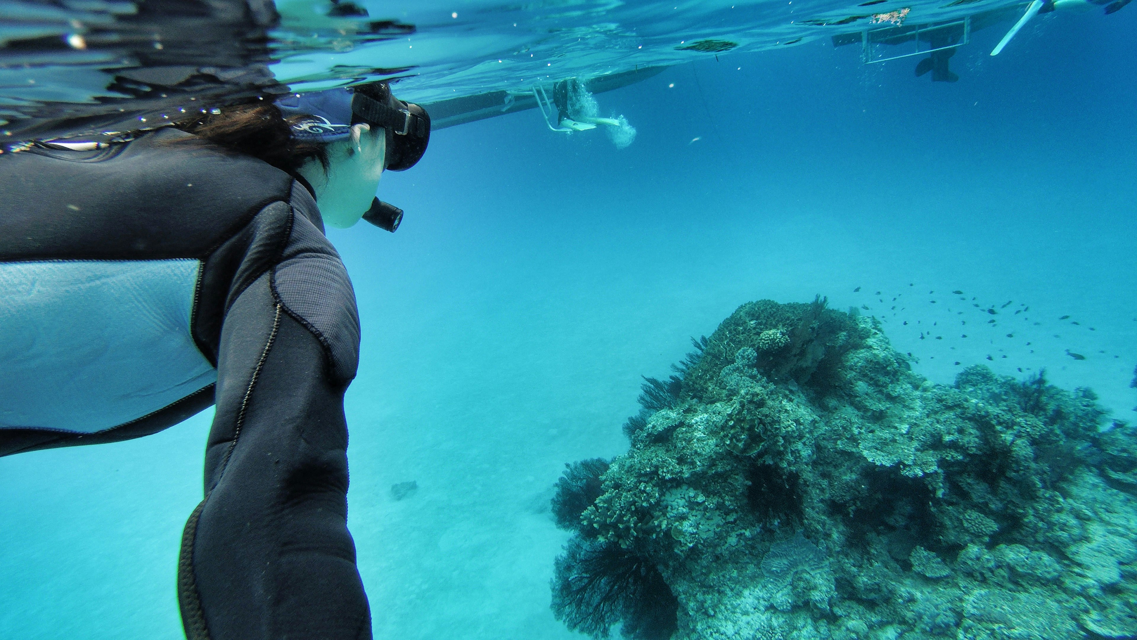 A person snorkeling in clear blue water near a vibrant coral reef