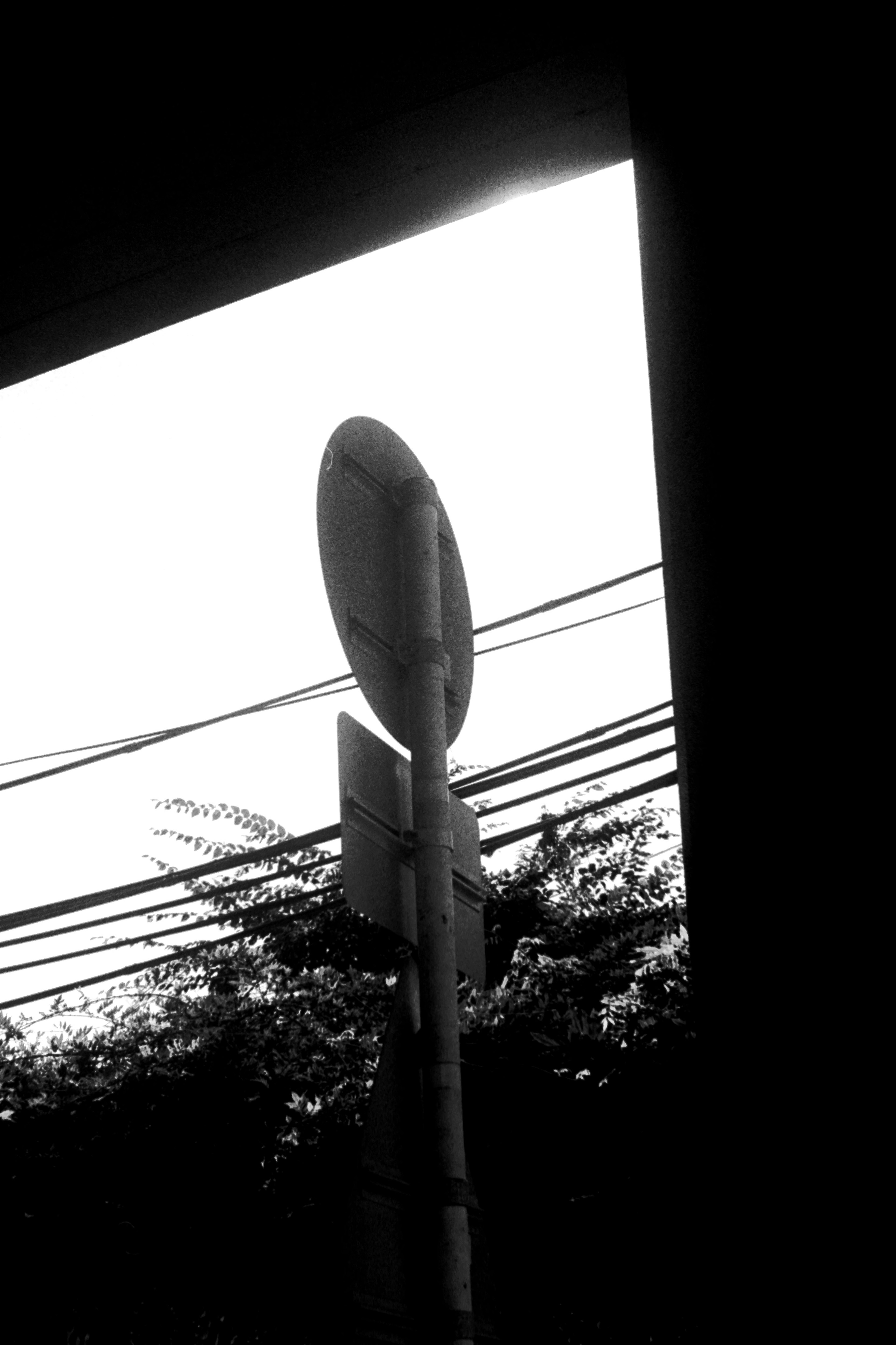 Silhouette of a bus stop sign and power lines in black and white