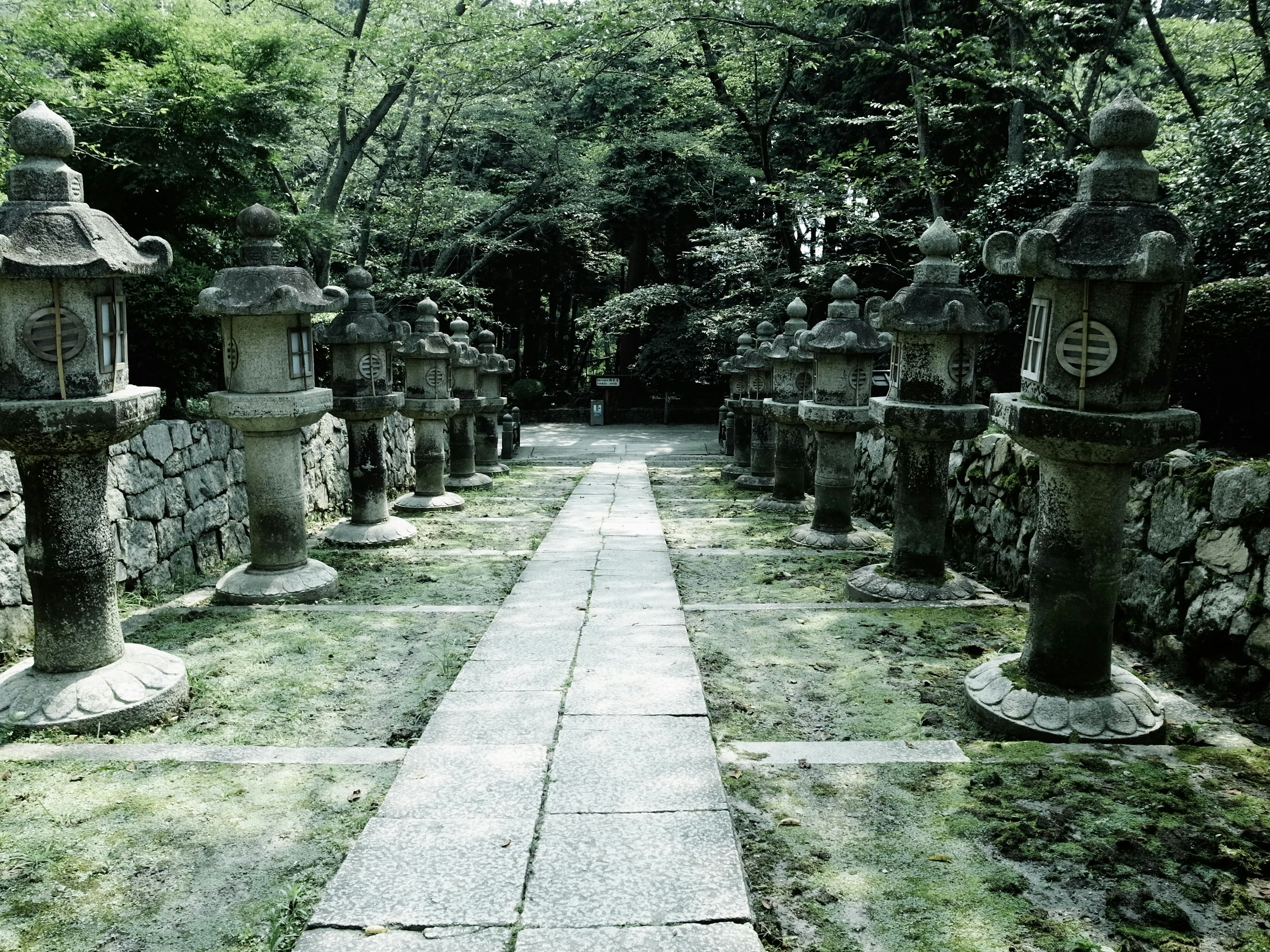 Pathway lined with stone lanterns in a lush garden