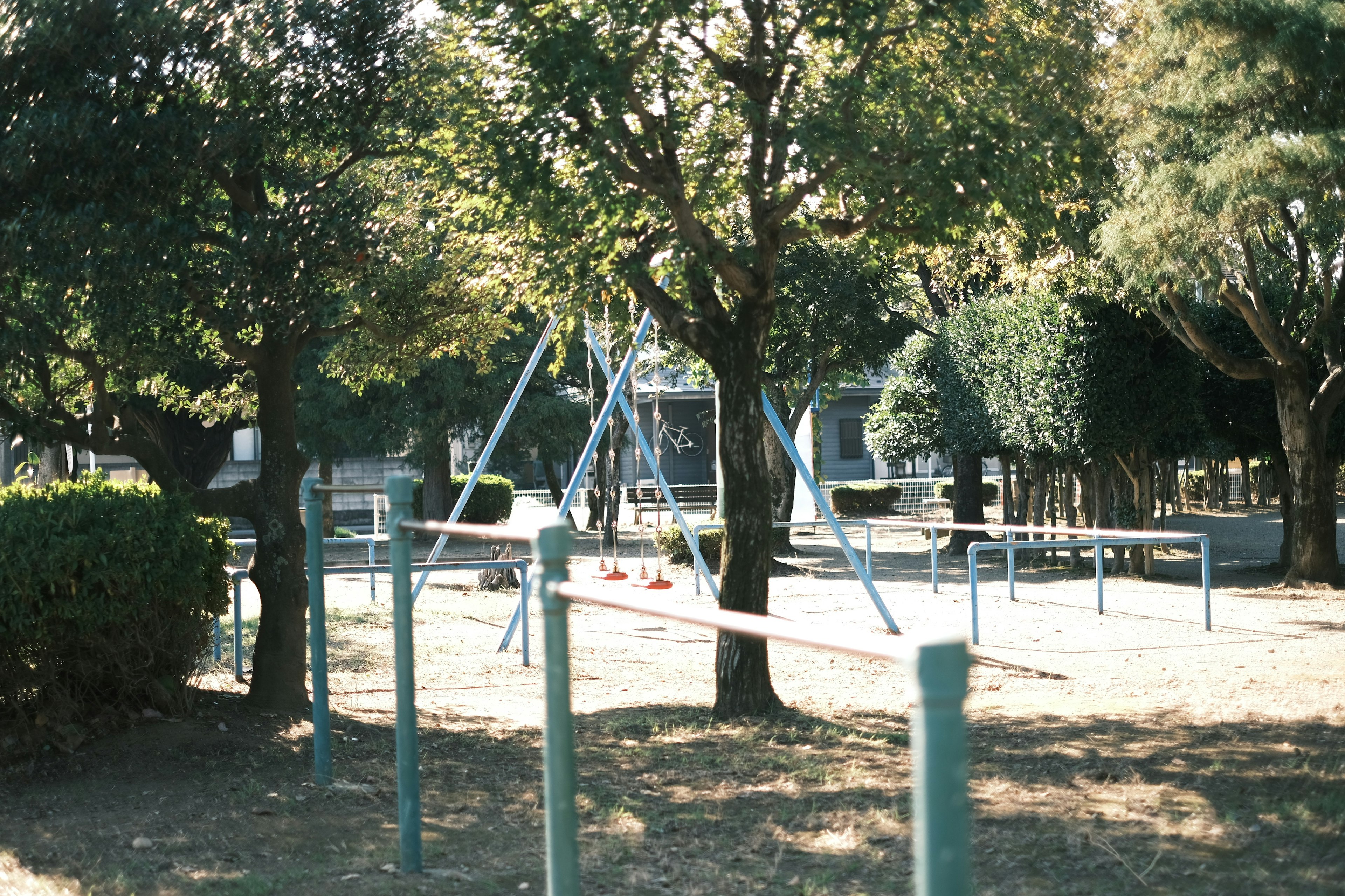 Spielplatz mit Schaukeln und umgebenden Bäumen