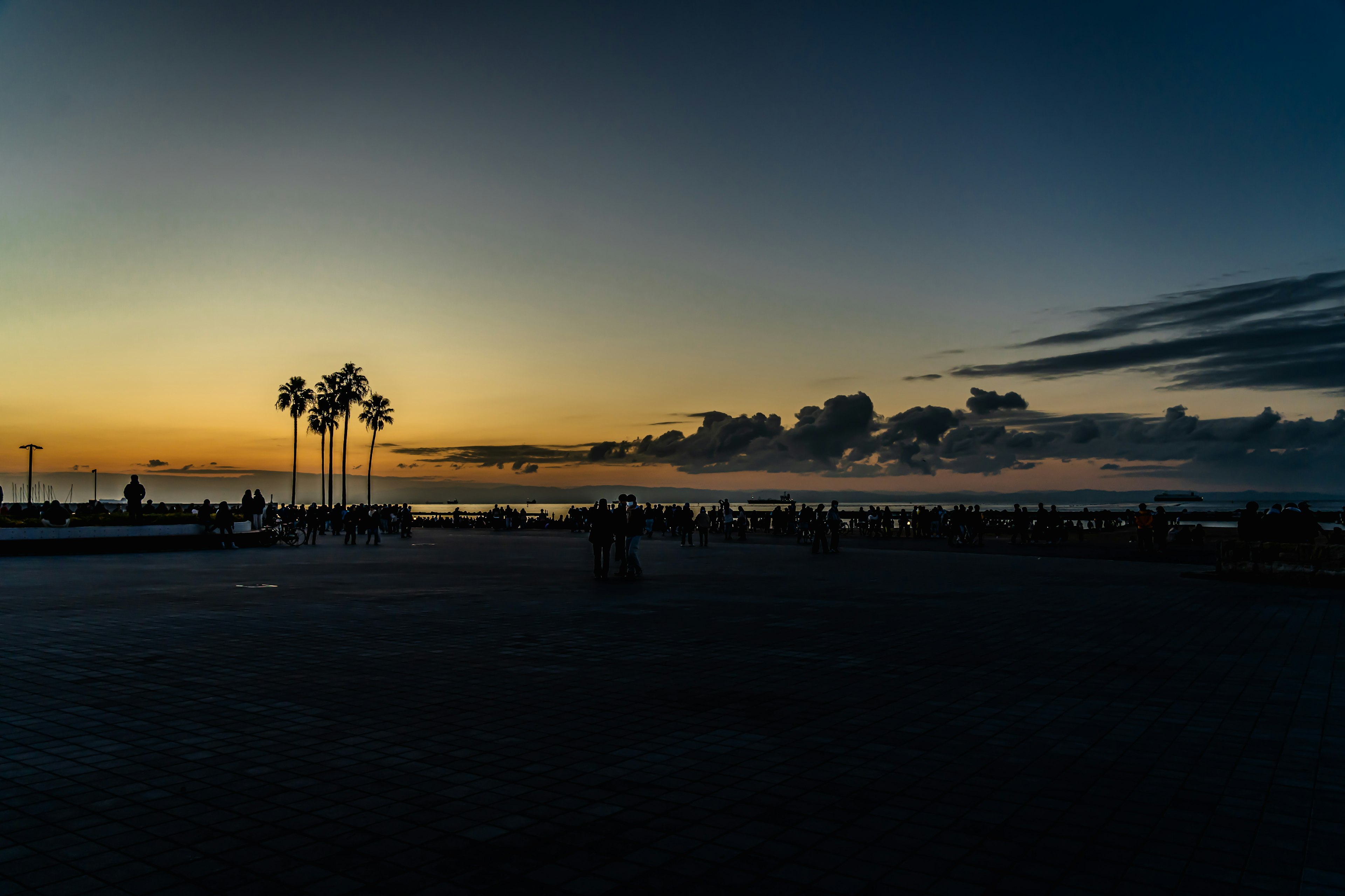 海边夕阳下的人和棕榈树的剪影